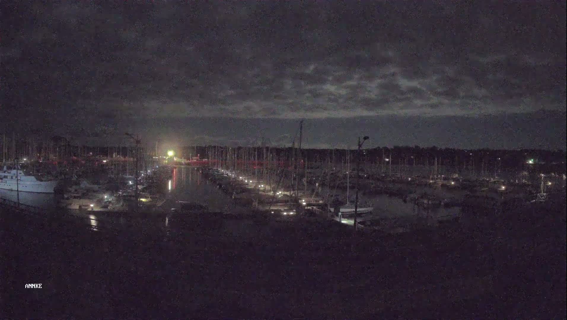 A nighttime view of a marina filled with numerous boats under a dark, cloudy sky.