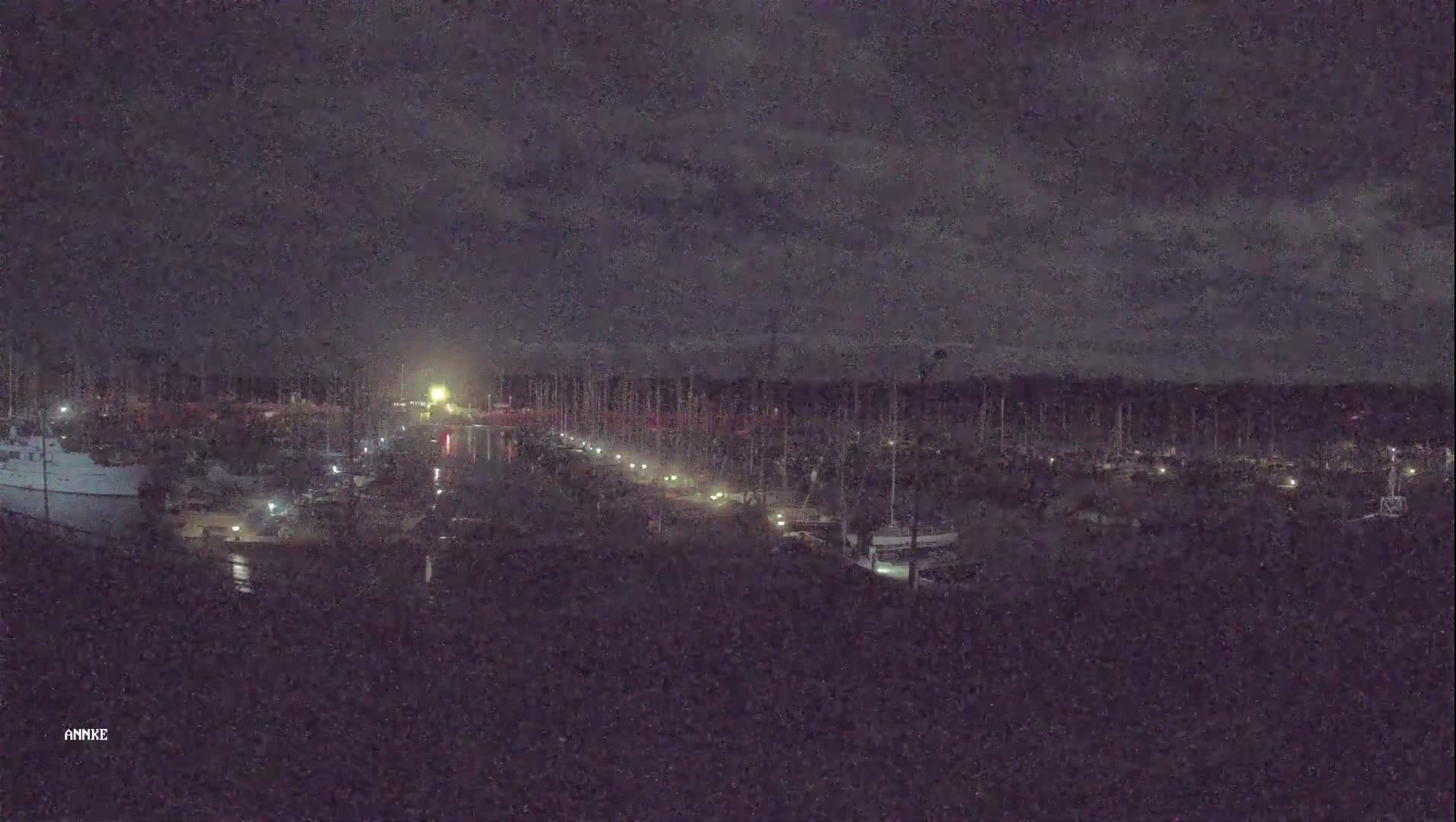 A nighttime long shot of a marina with many boats docked under a dark, cloudy sky.