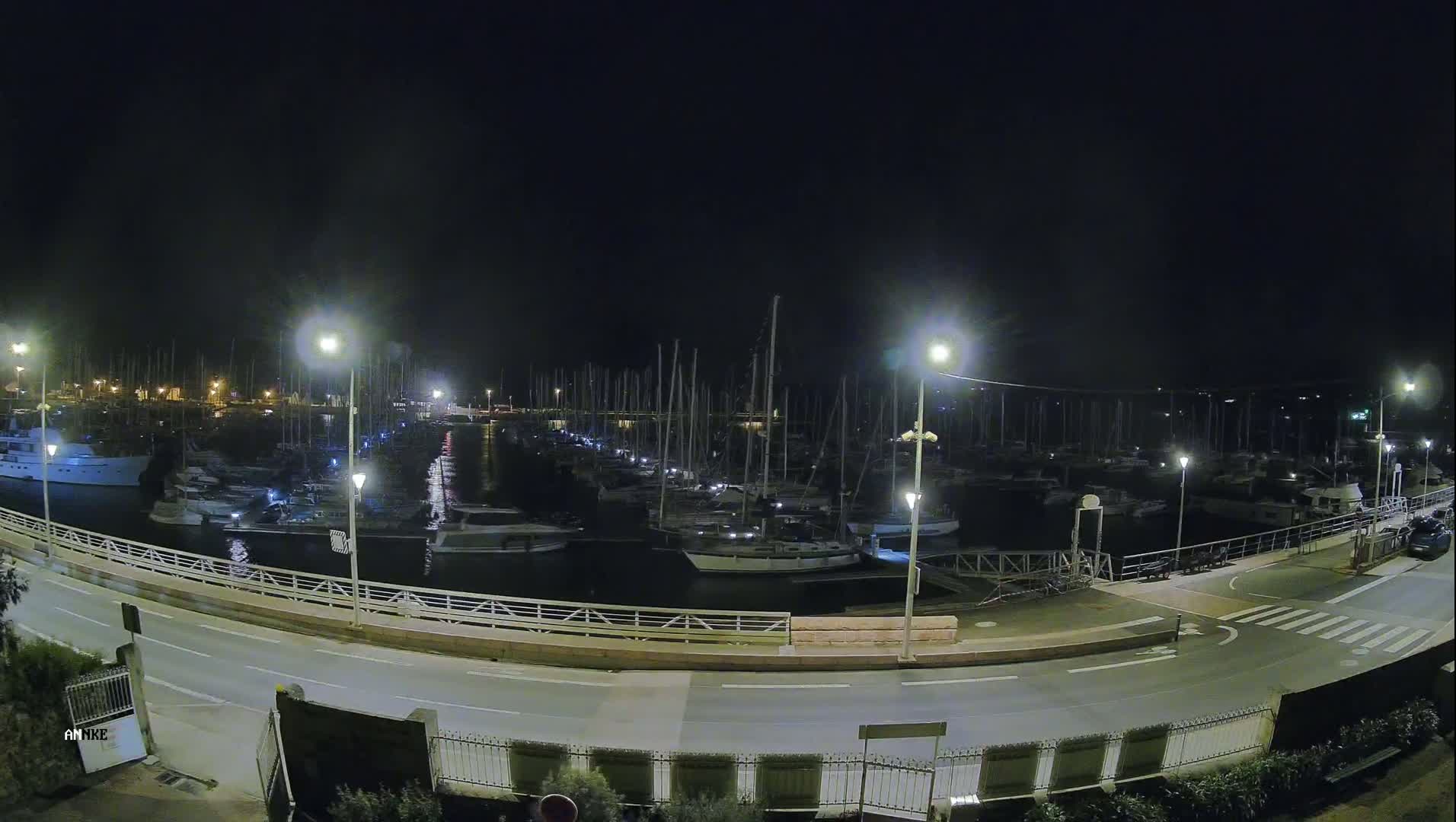 A marina filled with numerous boats is illuminated at night by streetlights along a road bordering the water.