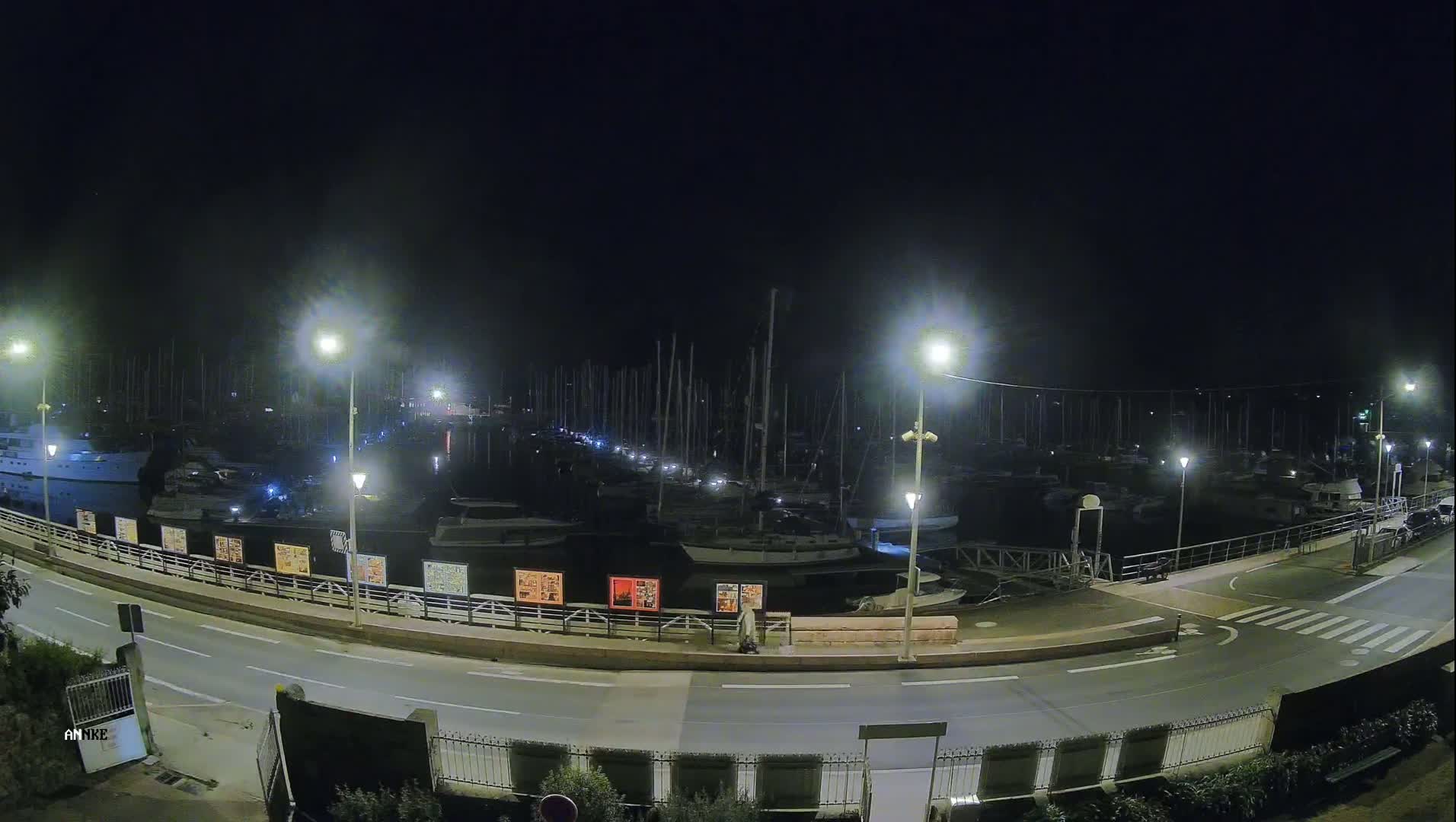 A nighttime view of a marina filled with boats, illuminated by streetlights, next to a roadway.