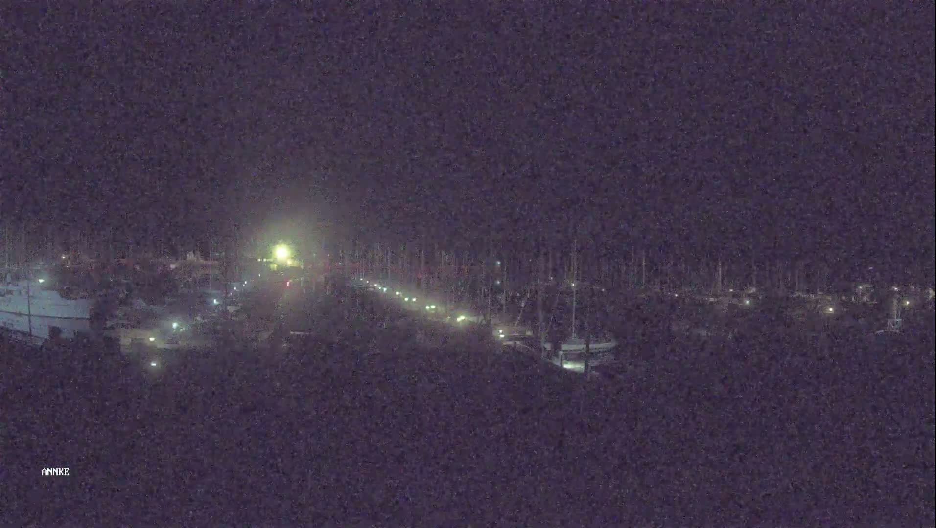 A nighttime long shot shows a marina with many boats docked, illuminated by faint lights under a dark sky.