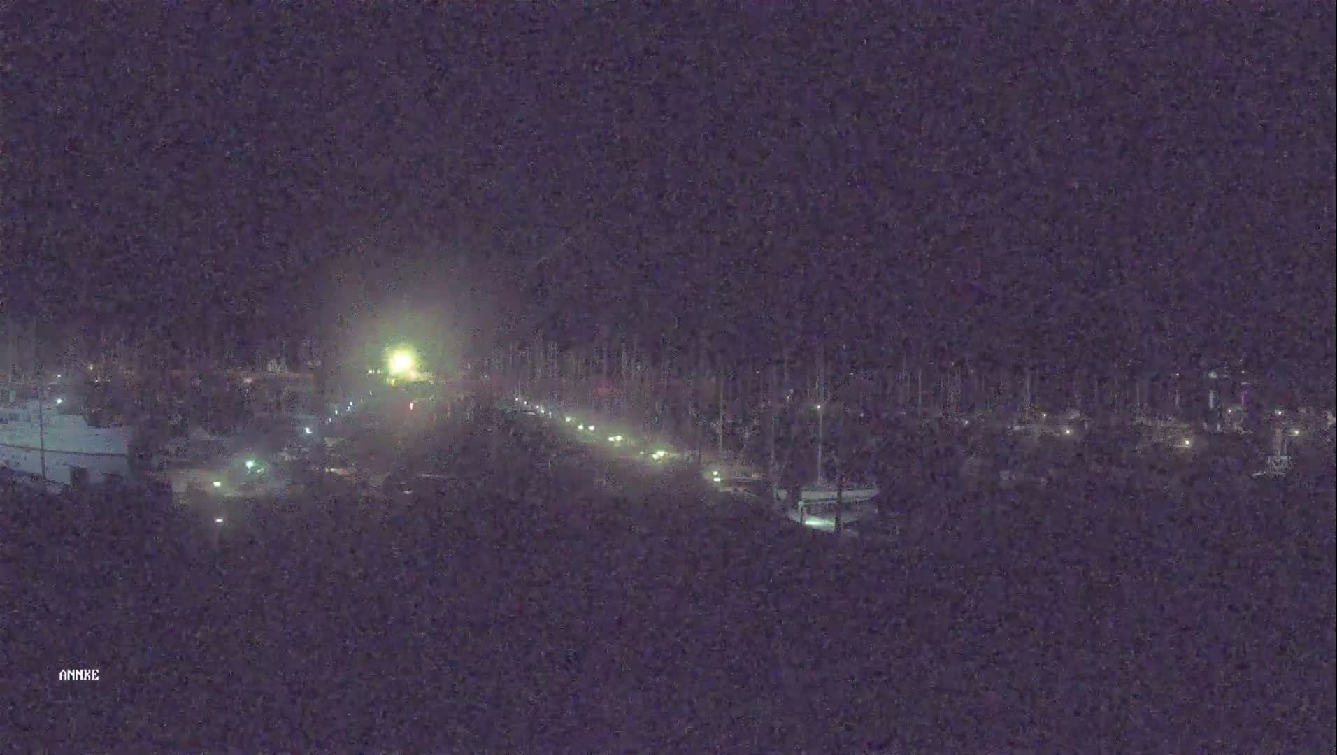 A nighttime, low-light view shows a road with sparse traffic leading to a marina filled with boats.
