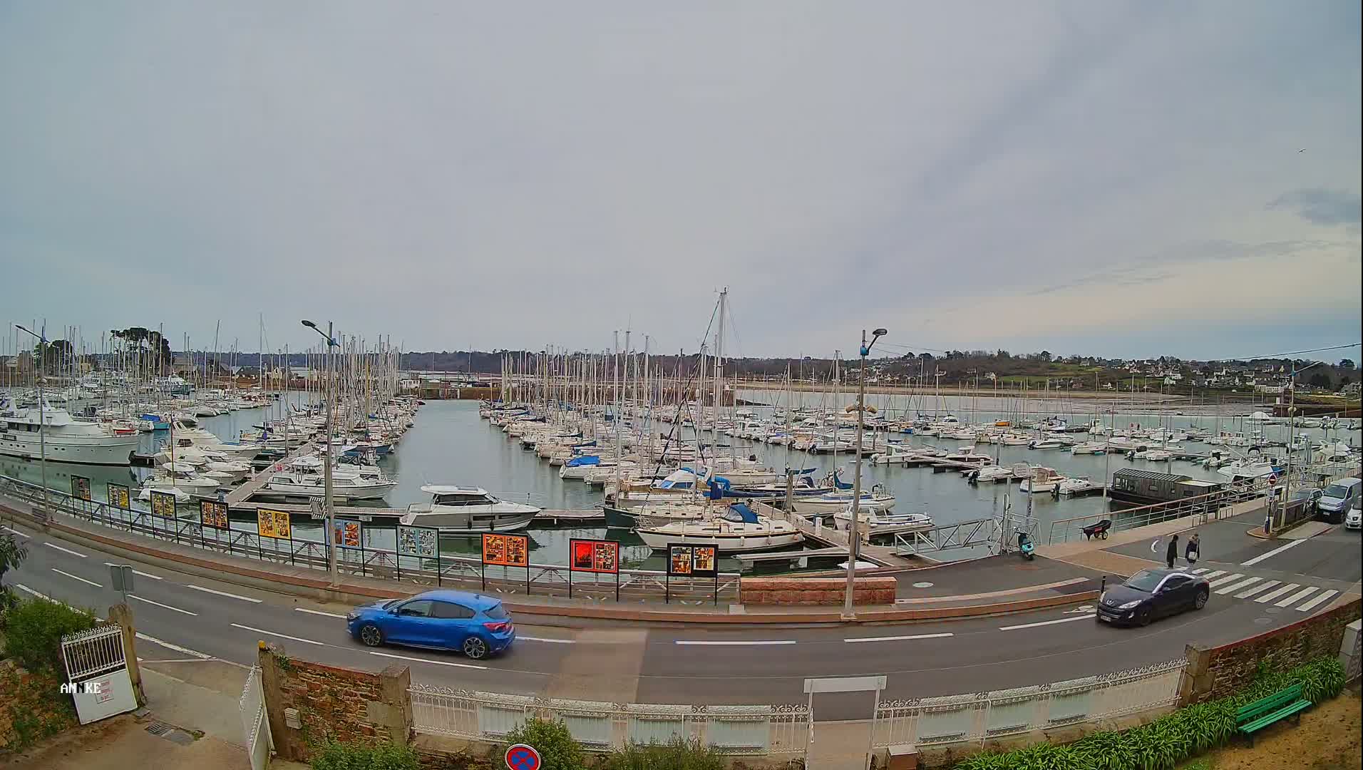 A large marina filled with numerous sailboats and motorboats is shown under an overcast sky, with a road and a few cars visible in the foreground.
