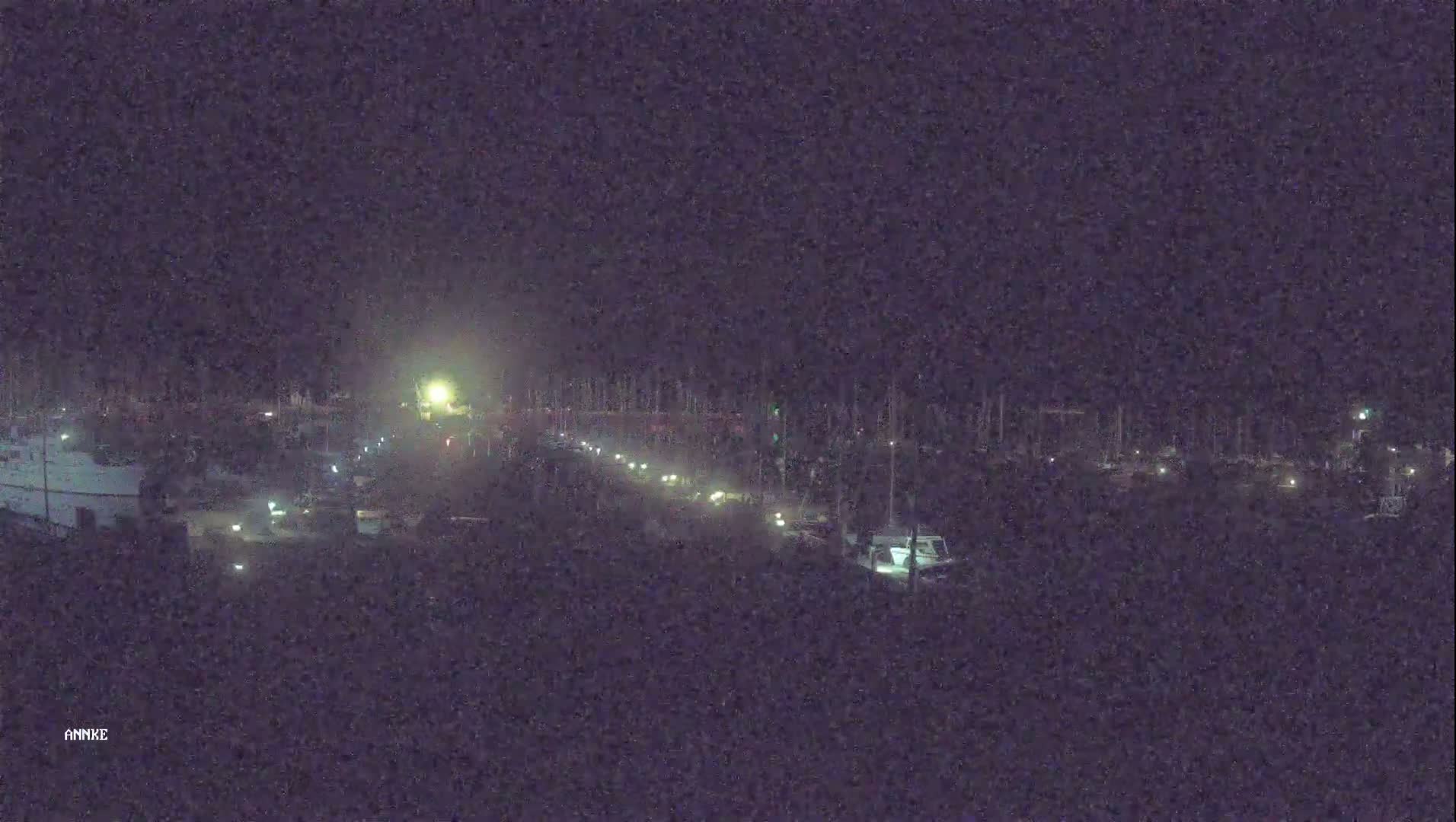 A nighttime, low-light view of a marina with boats and vehicles, some with headlights on.