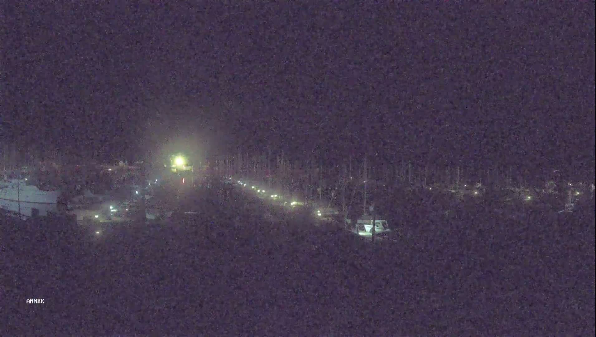 A nighttime, low-light view of a marina with boats docked along a road, dimly lit by scattered lights.