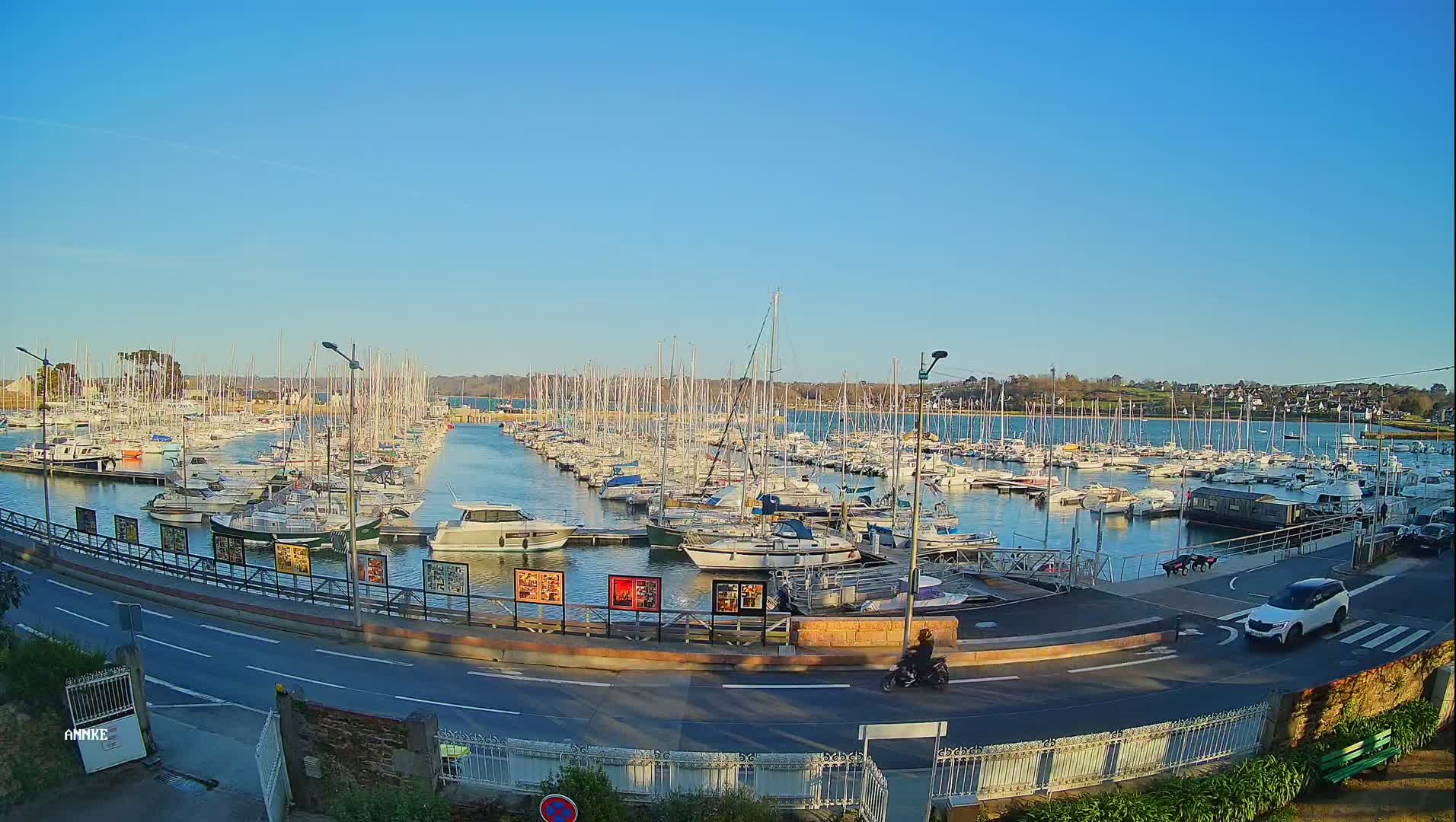 A marina filled with numerous sailboats and motorboats under a clear blue sky.