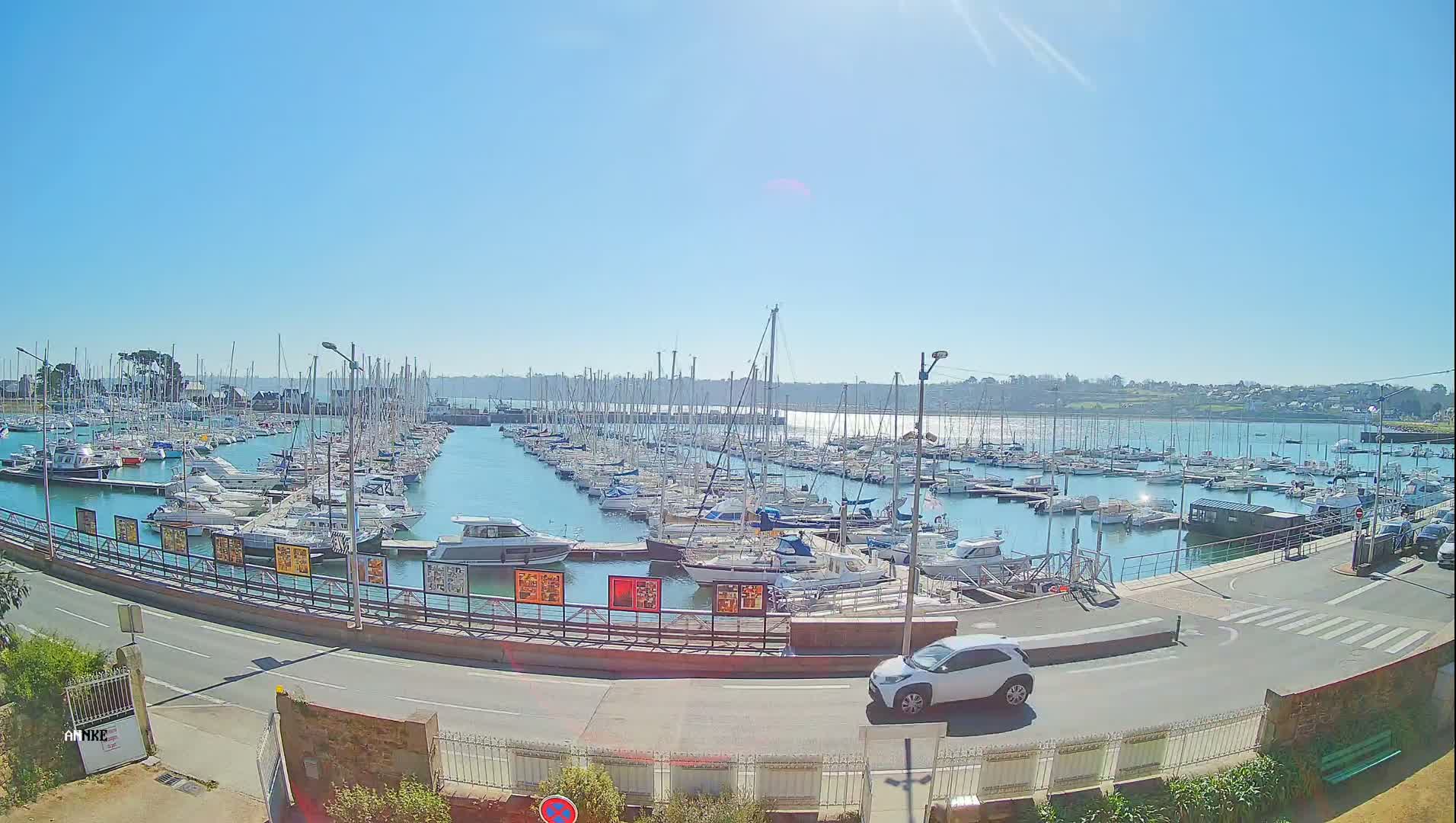 A sunny day reveals a large marina filled with numerous sailboats and motorboats, bordered by a roadway and a small white car.