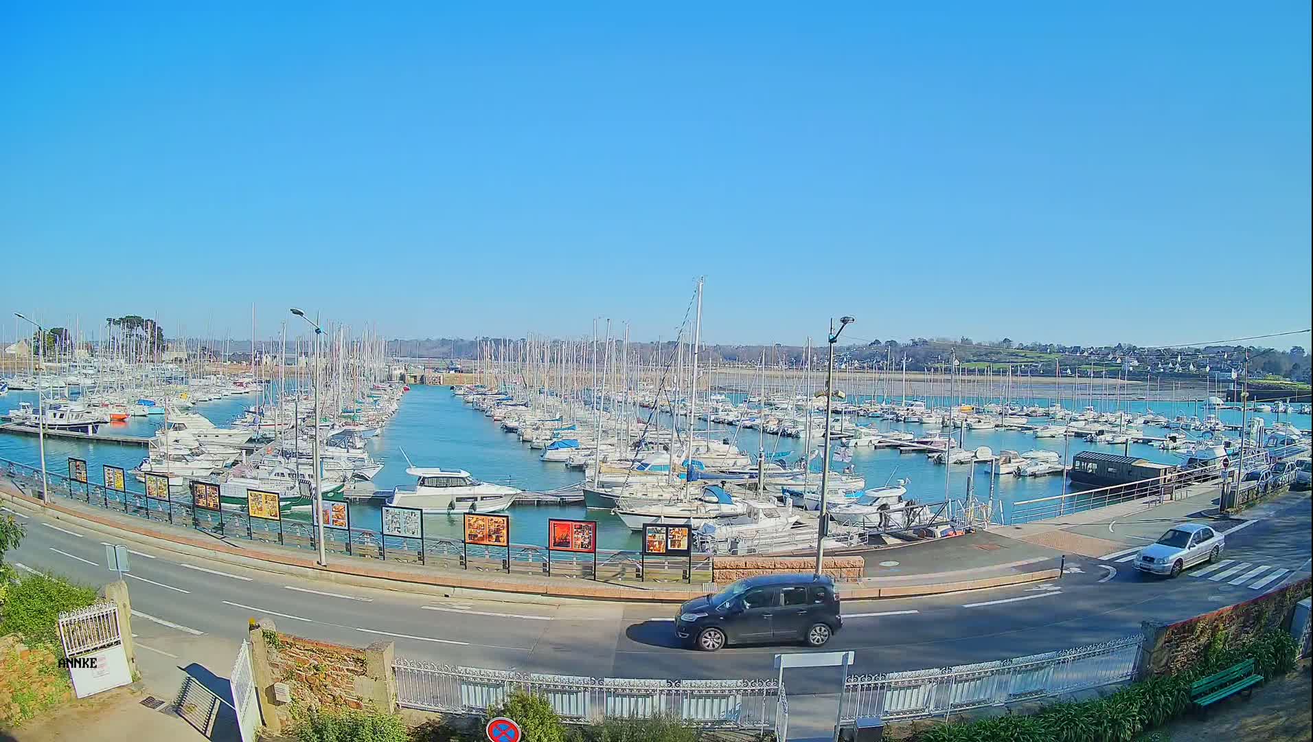 A sunny day at a marina filled with numerous sailboats and motorboats, with a road and cars visible in the foreground.