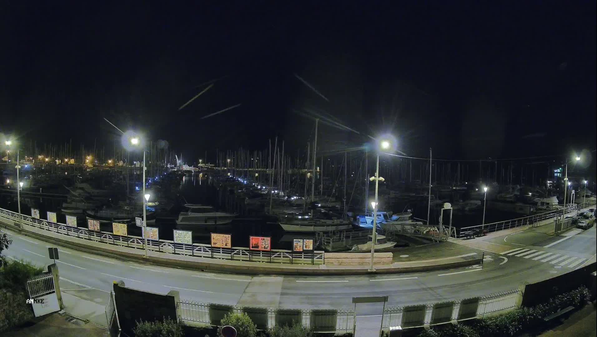 A nighttime view of a marina filled with numerous boats under a clear, dark sky.