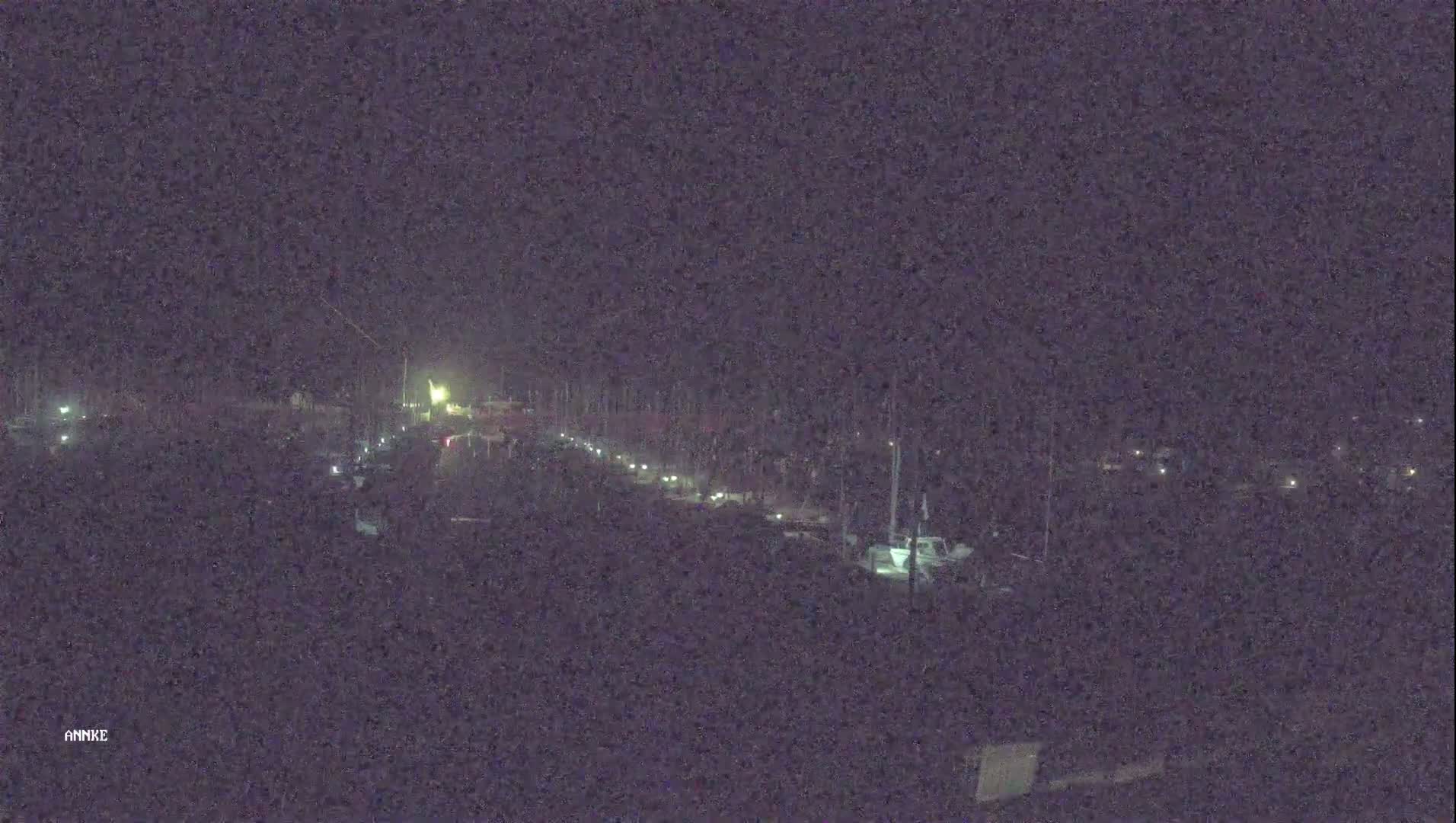 A nighttime long shot of a road with sparsely spaced vehicles and dim lighting, bordered by trees and what appears to be a marina.
