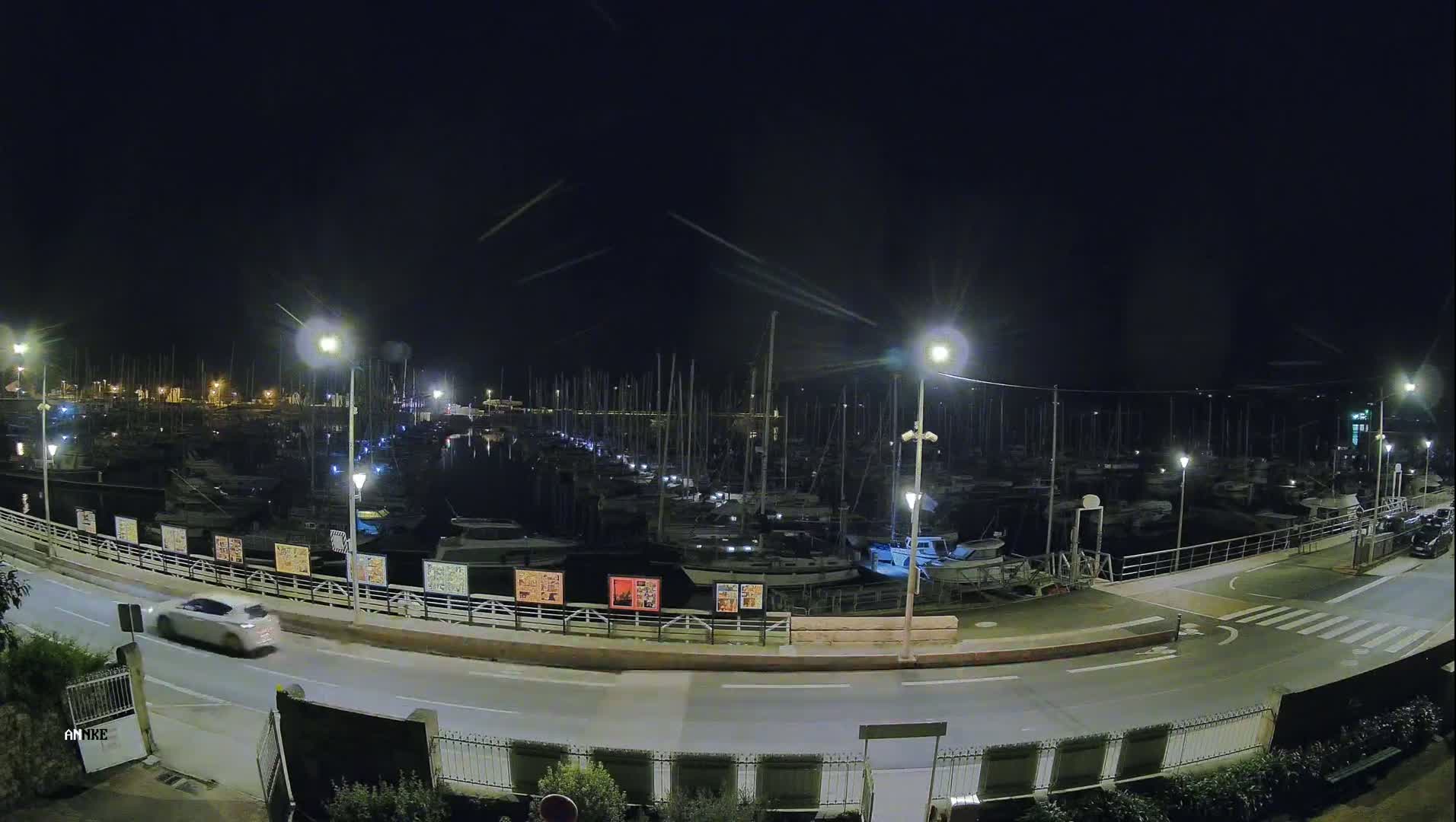 A nighttime view of a marina filled with numerous boats, illuminated by streetlights, with a car driving on a road next to it.