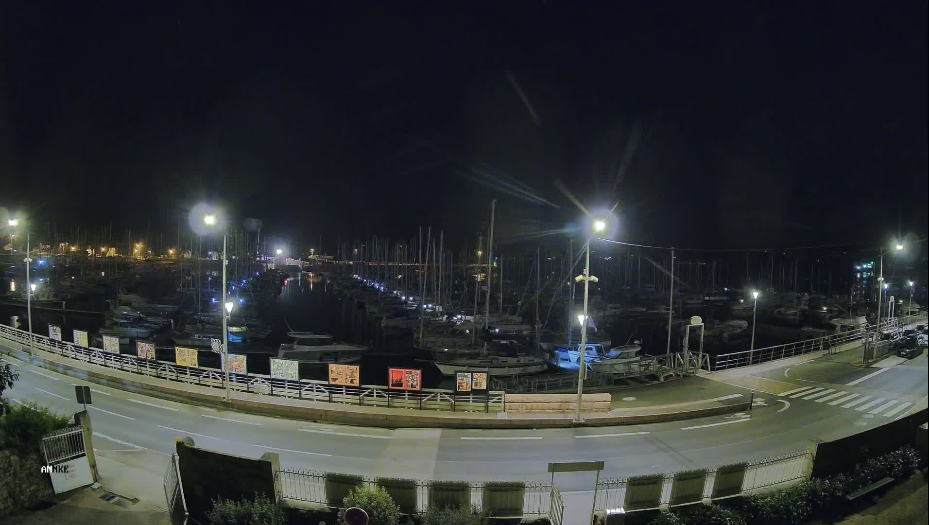 A nighttime view of a marina filled with docked boats, illuminated by streetlights, alongside a road with a pedestrian crossing.