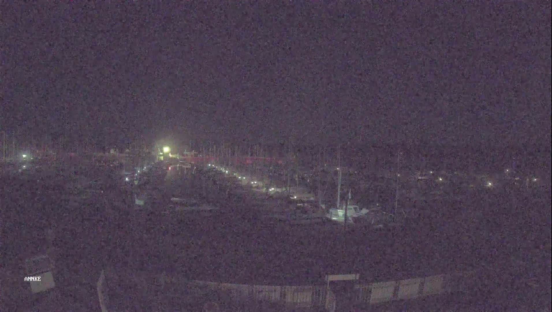 A nighttime, low-light view of a marina filled with boats, dimly lit by scattered lamps.