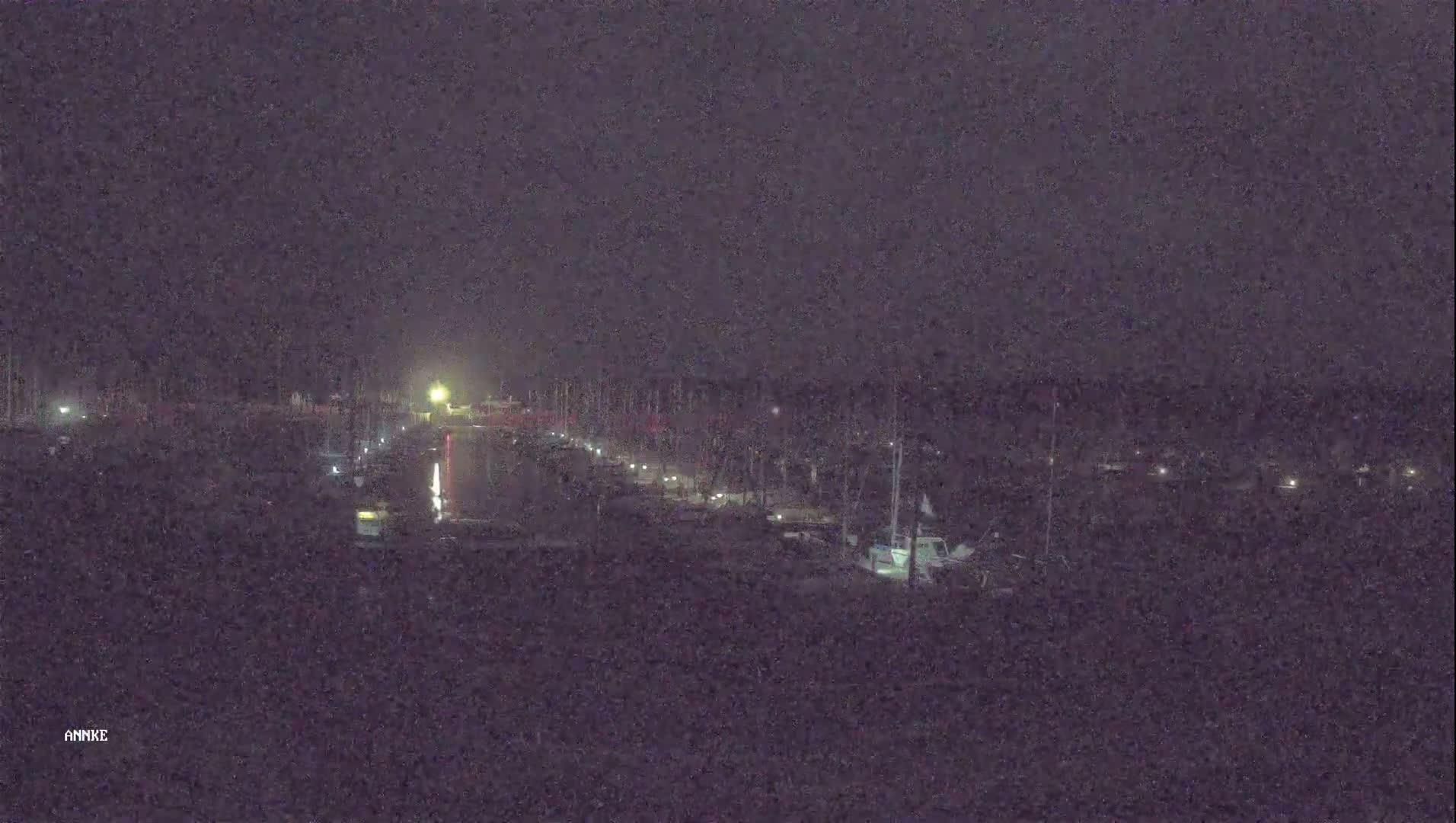A nighttime long shot shows a marina with many boats moored, dimly lit under a dark sky.