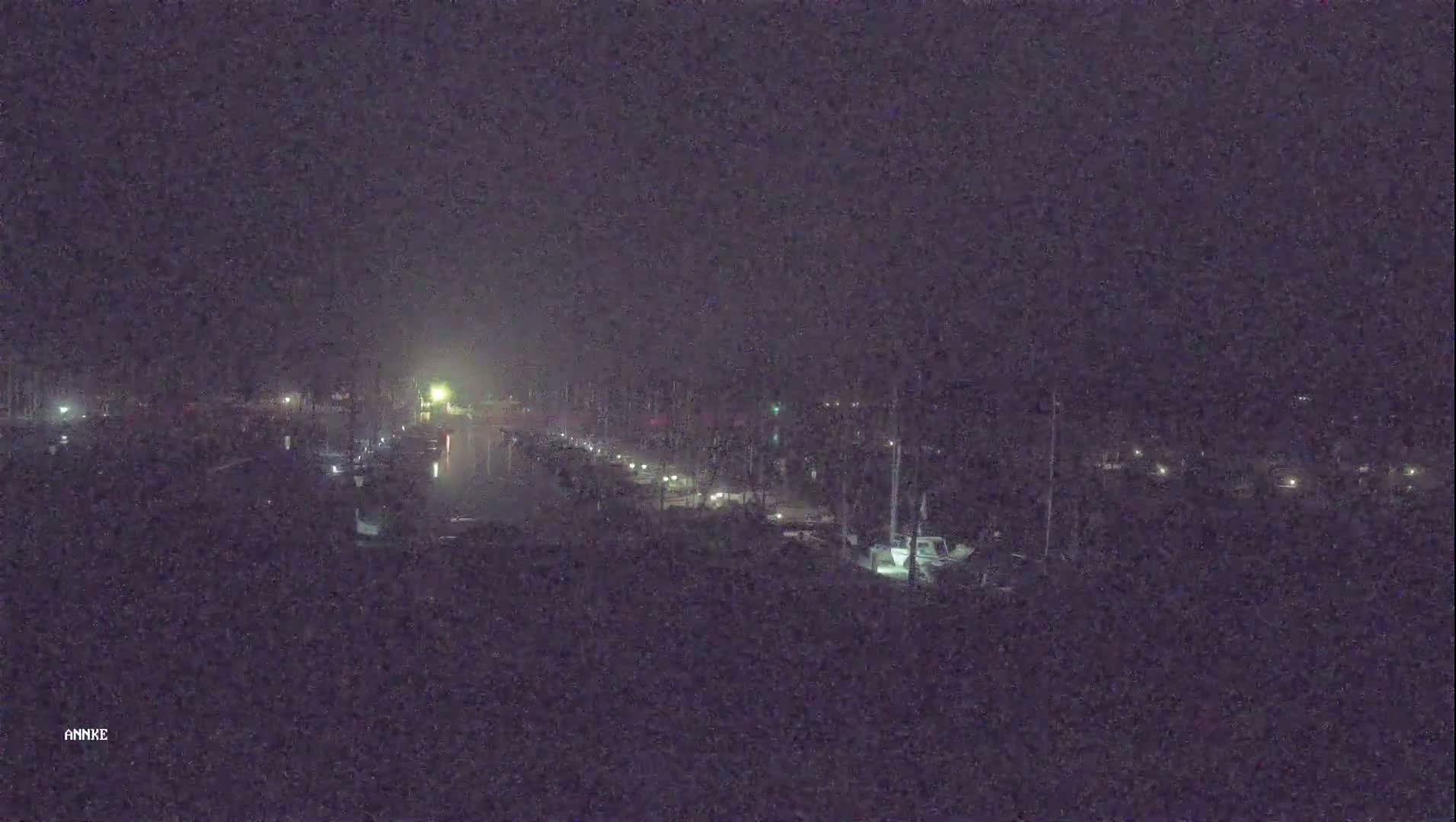 A nighttime, foggy view of a marina with boats docked on either side of a calm waterway.