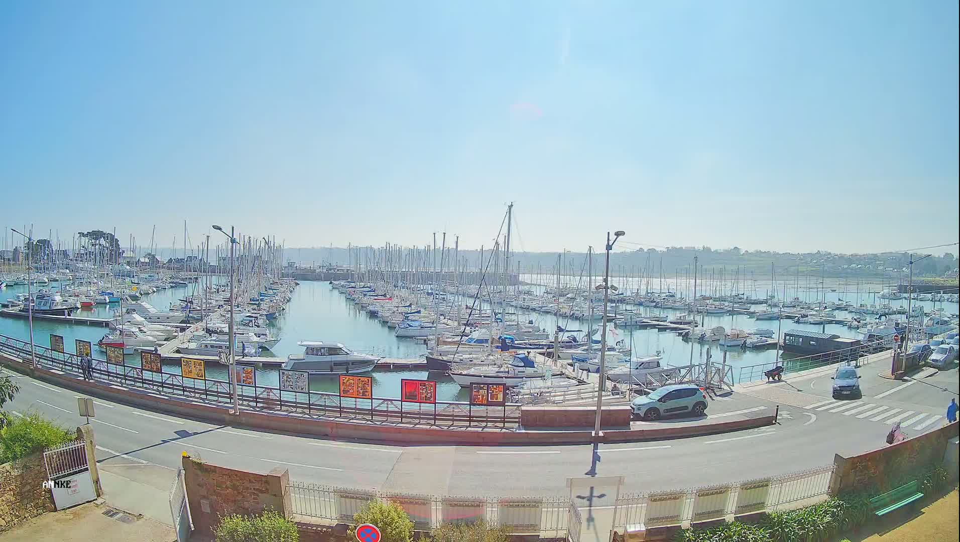 A marina filled with numerous sailboats and motorboats under a clear, sunny sky.