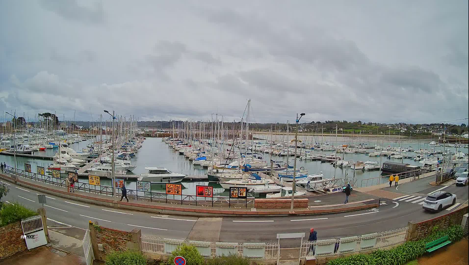 A harbor filled with numerous sailboats and motorboats under an overcast sky.