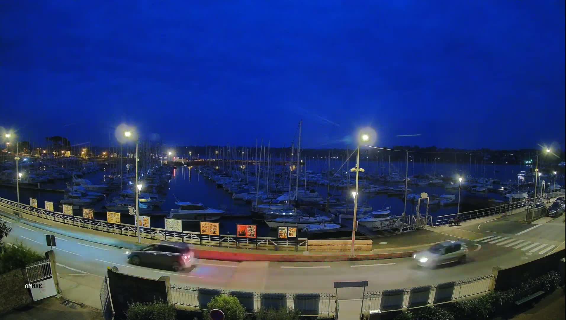 A marina filled with boats is illuminated at night under a clear, dark blue sky, with two cars visible driving along a road next to it.