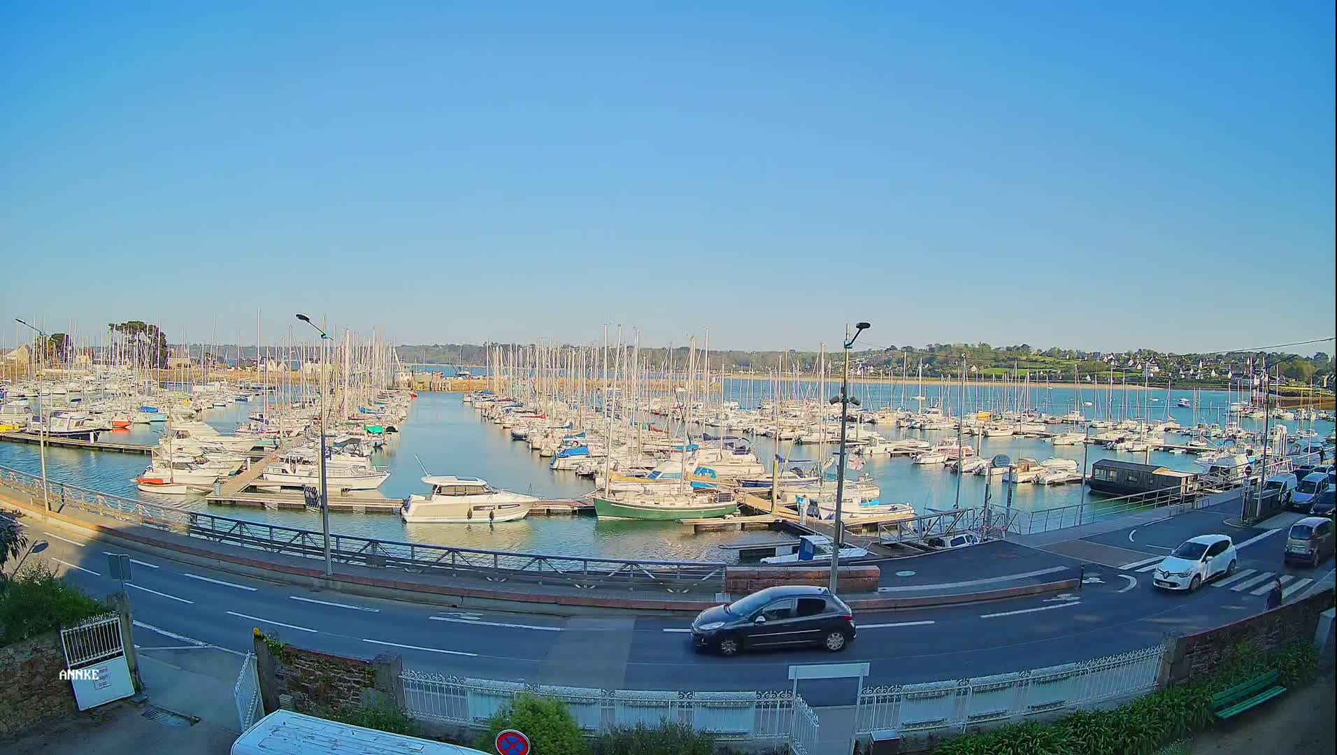 A harbor filled with numerous sailboats and motorboats under a clear, sunny sky, is viewed from a nearby road where several cars are driving.
