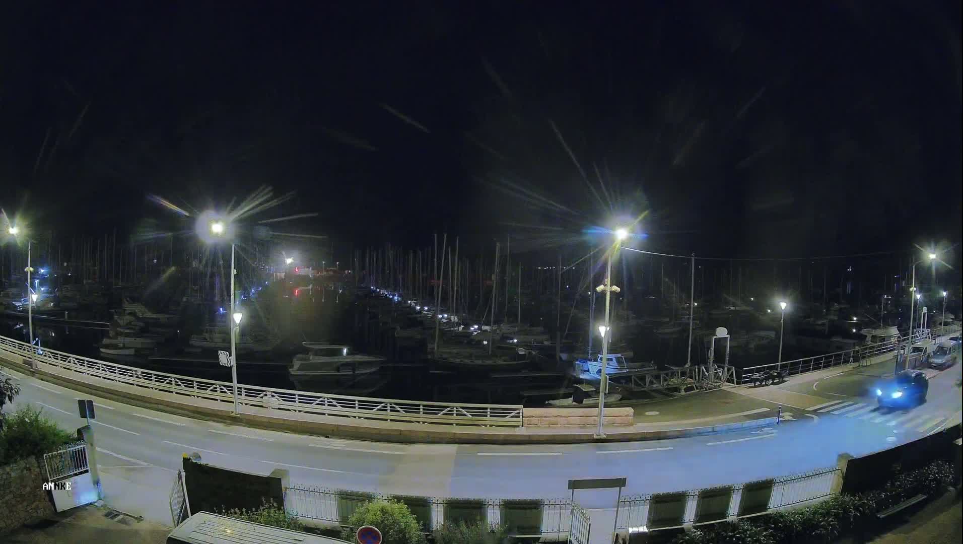 A nighttime view of a marina filled with docked boats, illuminated by streetlights, along a roadway.