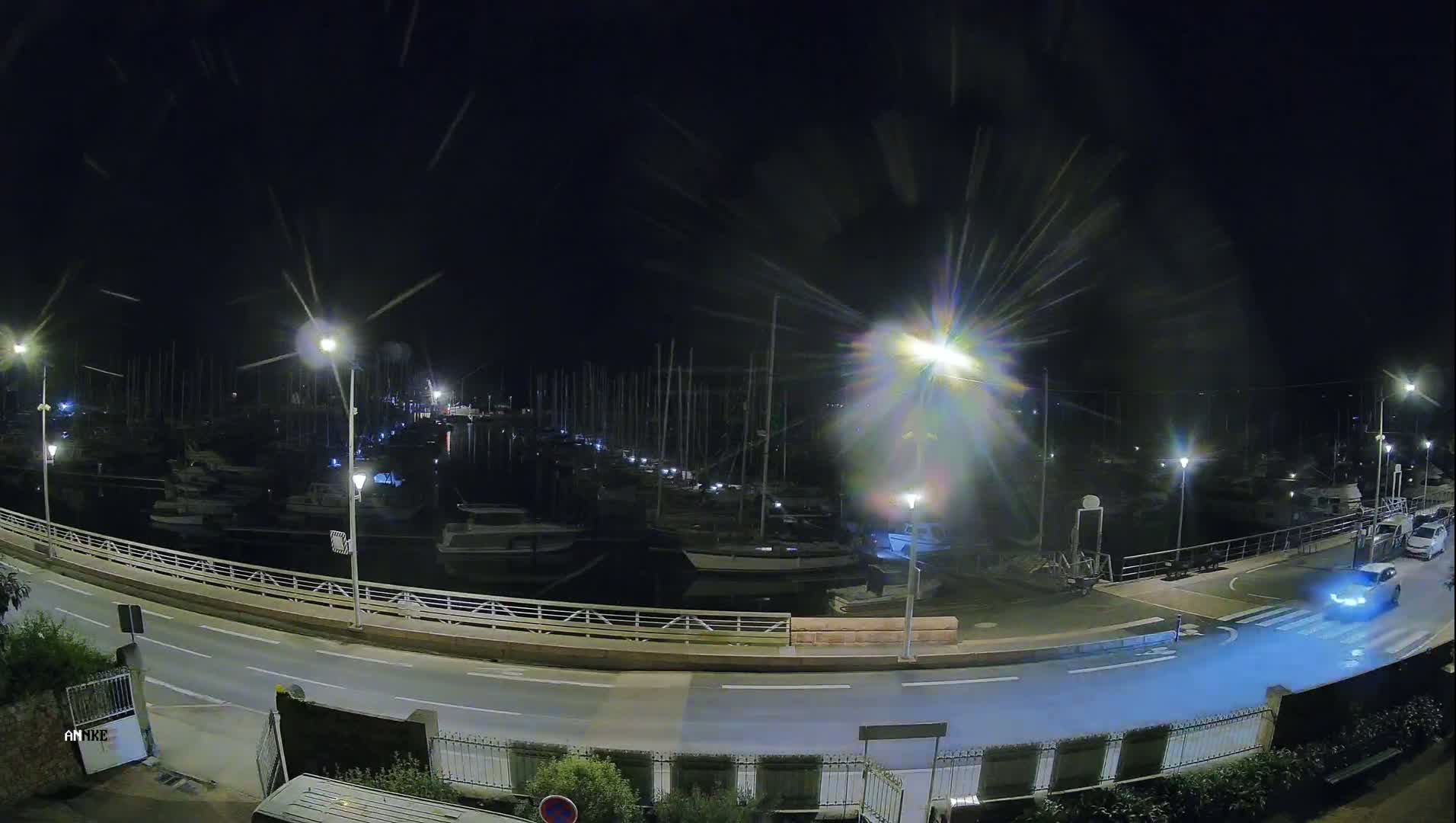 A nighttime view of a marina with numerous boats docked, illuminated by streetlights under a dark, possibly slightly overcast sky.