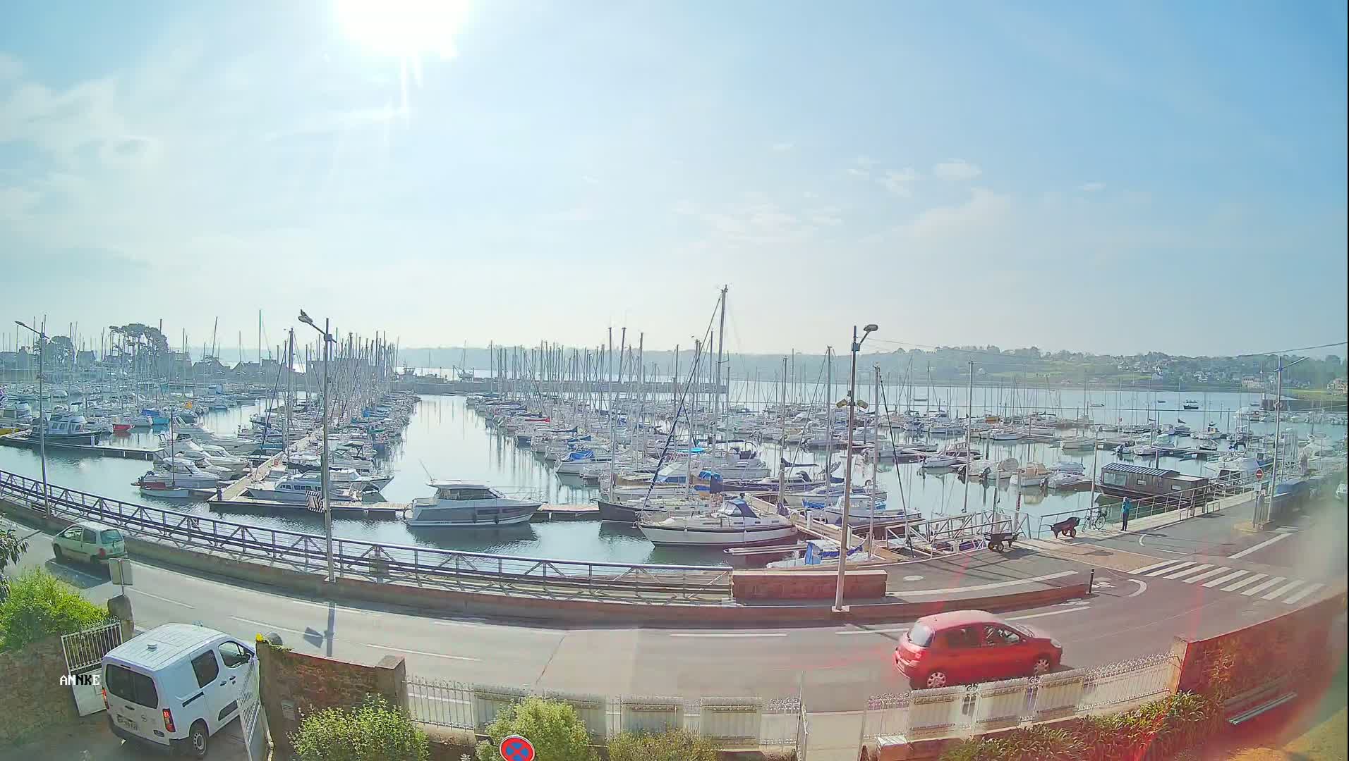 A sunny day at a marina filled with numerous sailboats and motorboats, with a red car and a white van visible on the road nearby.