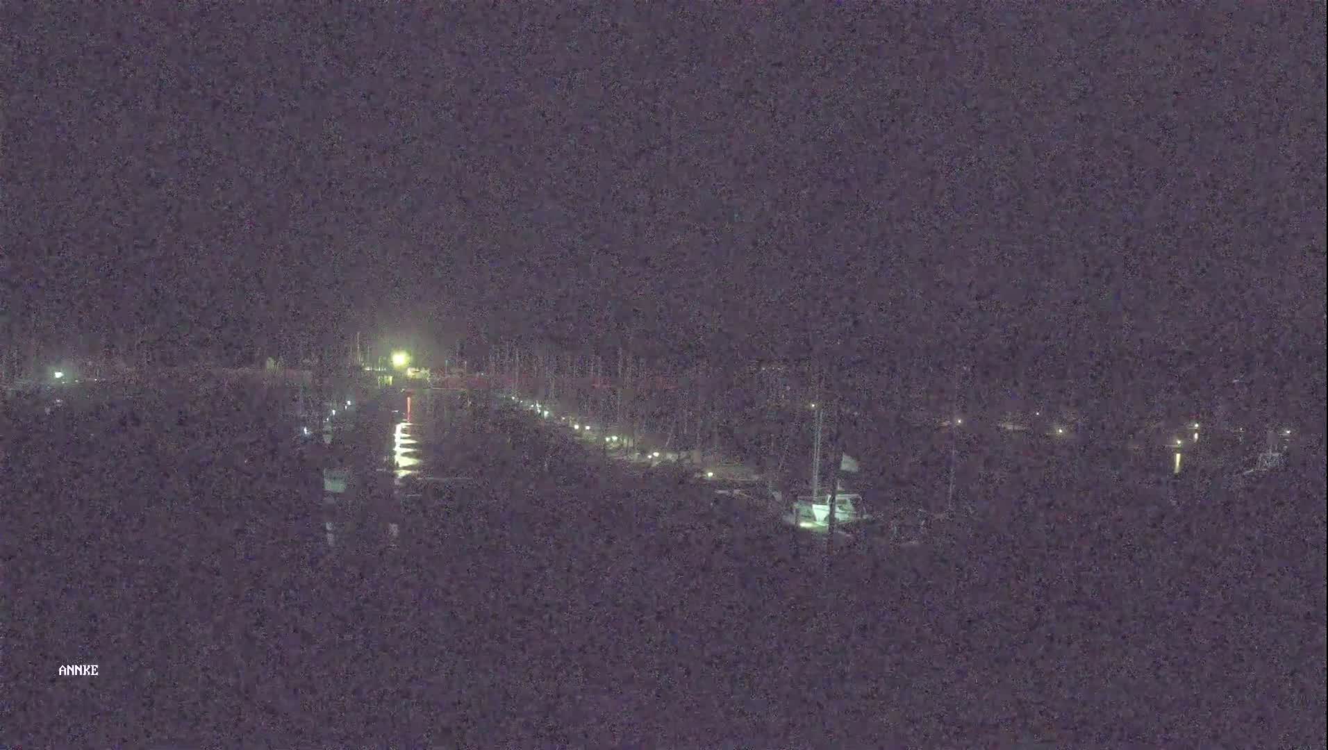 A nighttime, long shot shows a marina with numerous boats docked along a waterway under a dark sky.