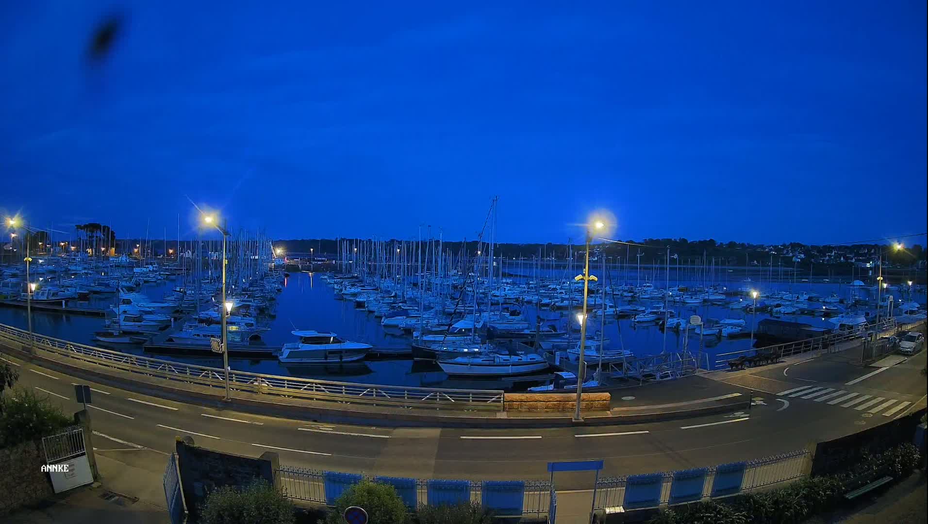 Many sailboats are docked in a marina at twilight under a clear, dark blue sky.