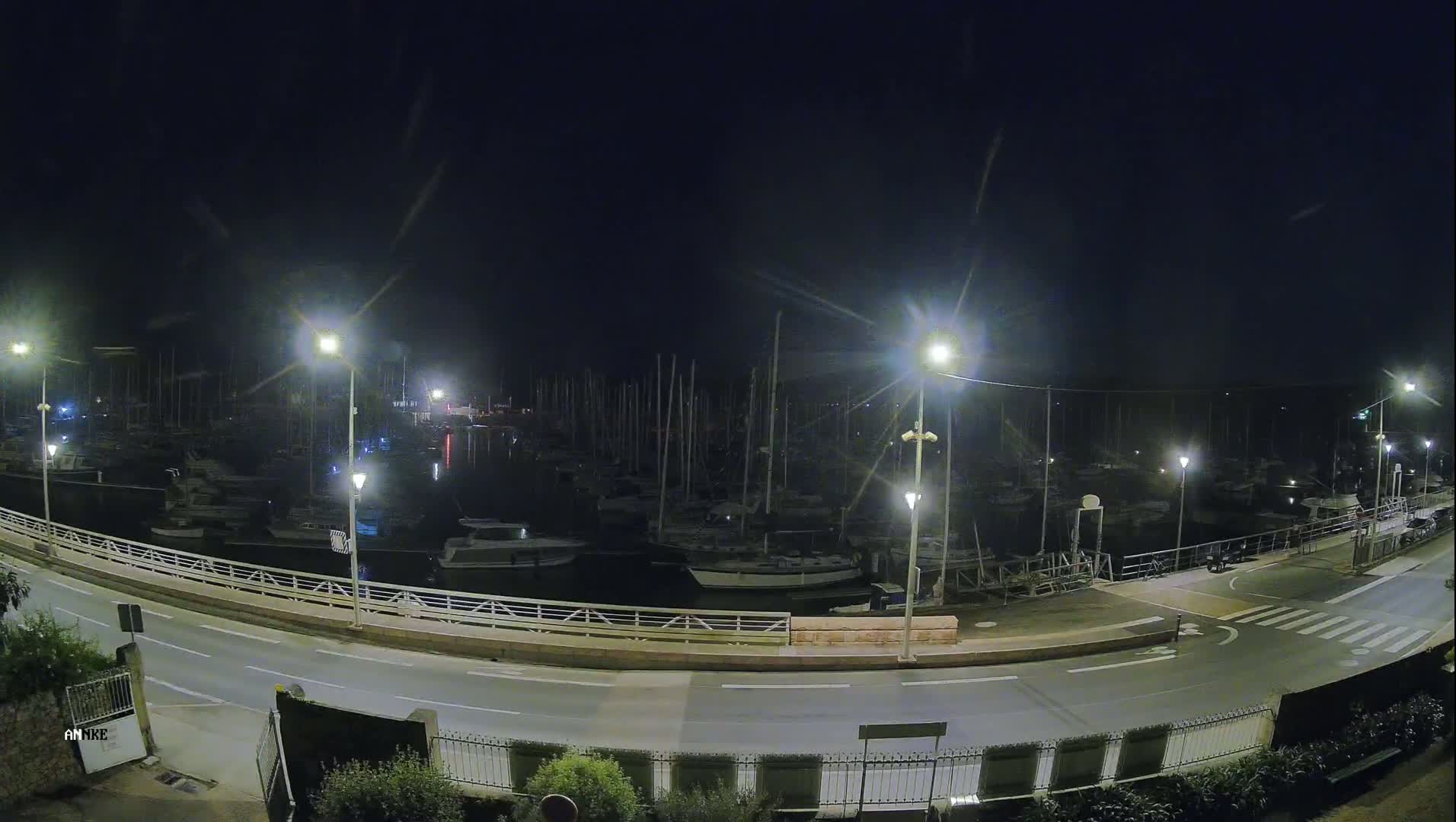 A nighttime view of a marina filled with sailboats, illuminated by streetlights, alongside a road.