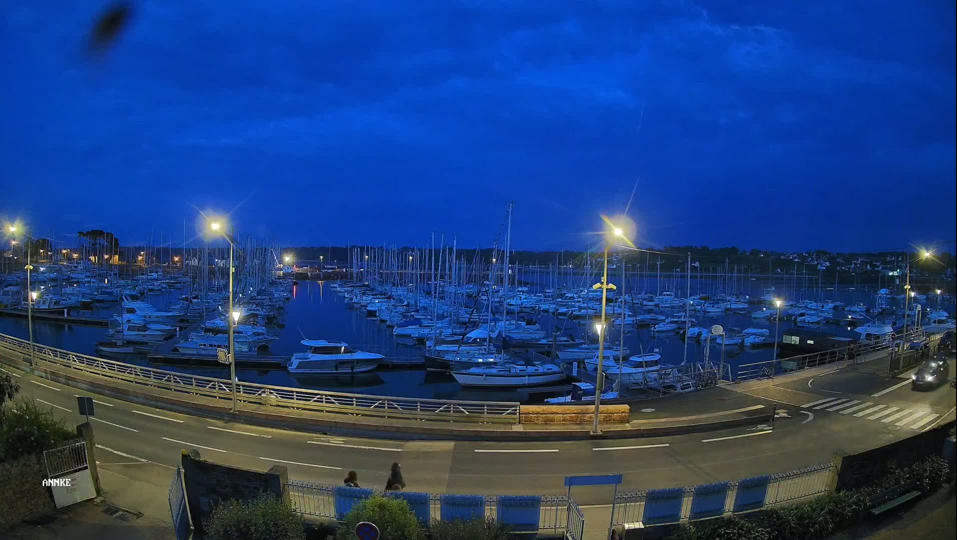 Under a dark blue twilight sky, many sailboats are docked in a harbor next to a road with streetlights.