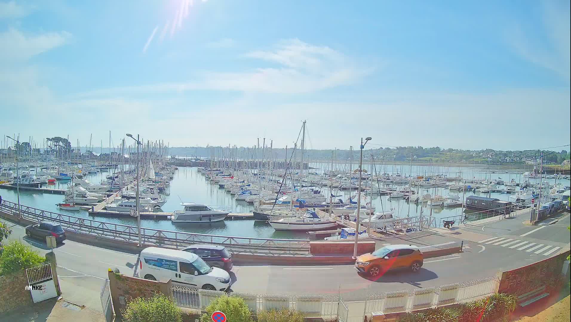 A sunny day at a marina shows many sailboats and motorboats docked, with cars parked along a nearby road.