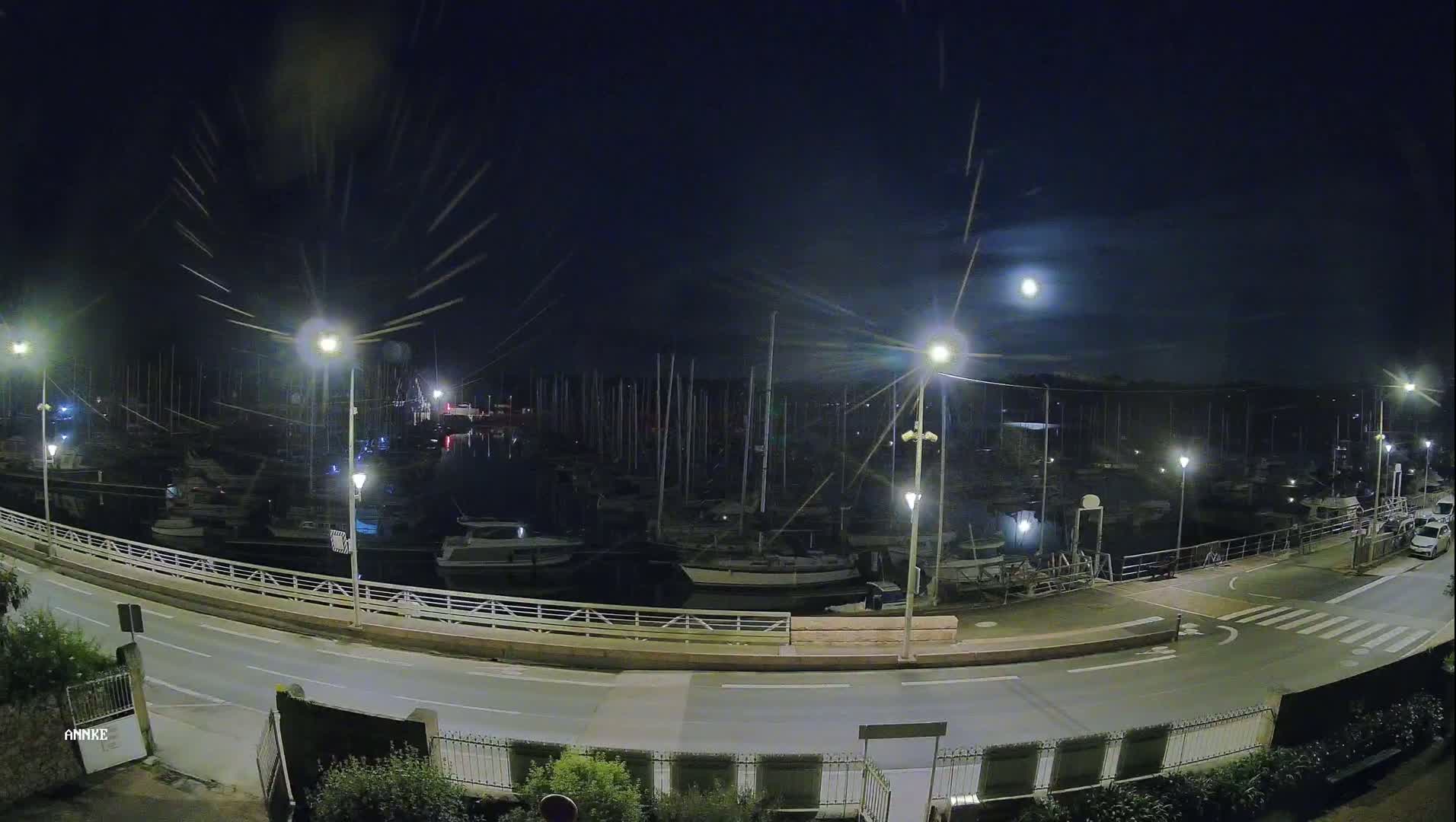 A nighttime view of a marina with many boats docked, illuminated by streetlights under a mostly clear moonlit sky.