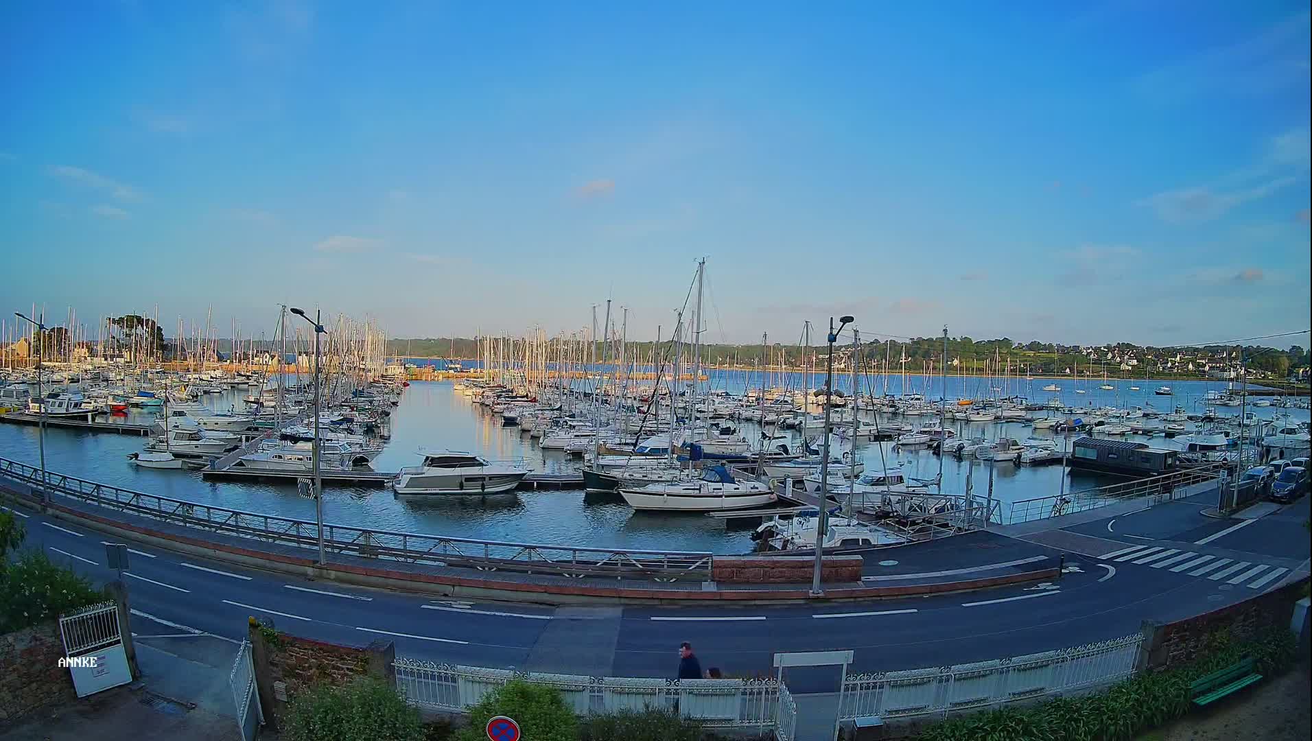 A marina filled with numerous sailboats and motorboats is situated beside a road under a clear, bright blue sky.