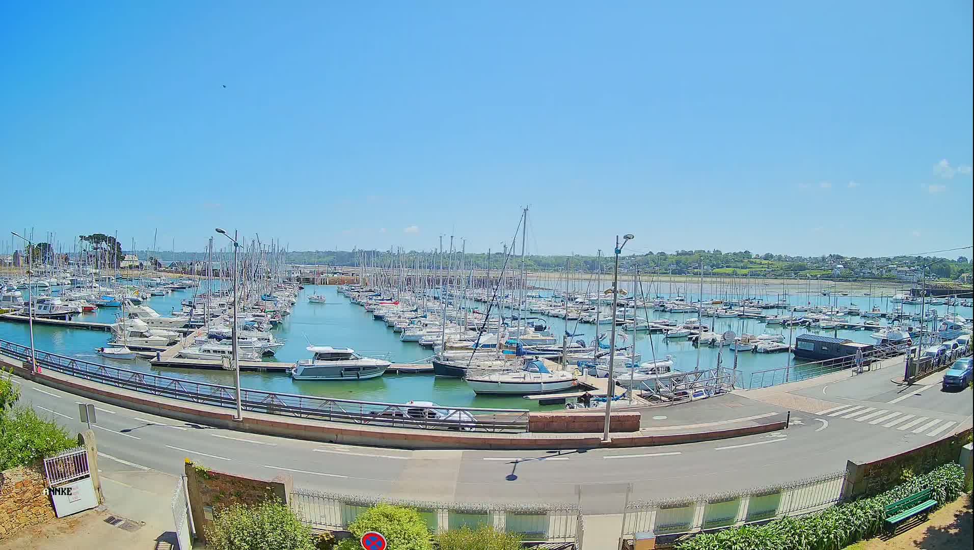 A sunny day overlooks a harbor filled with numerous sailboats and motorboats docked at piers.