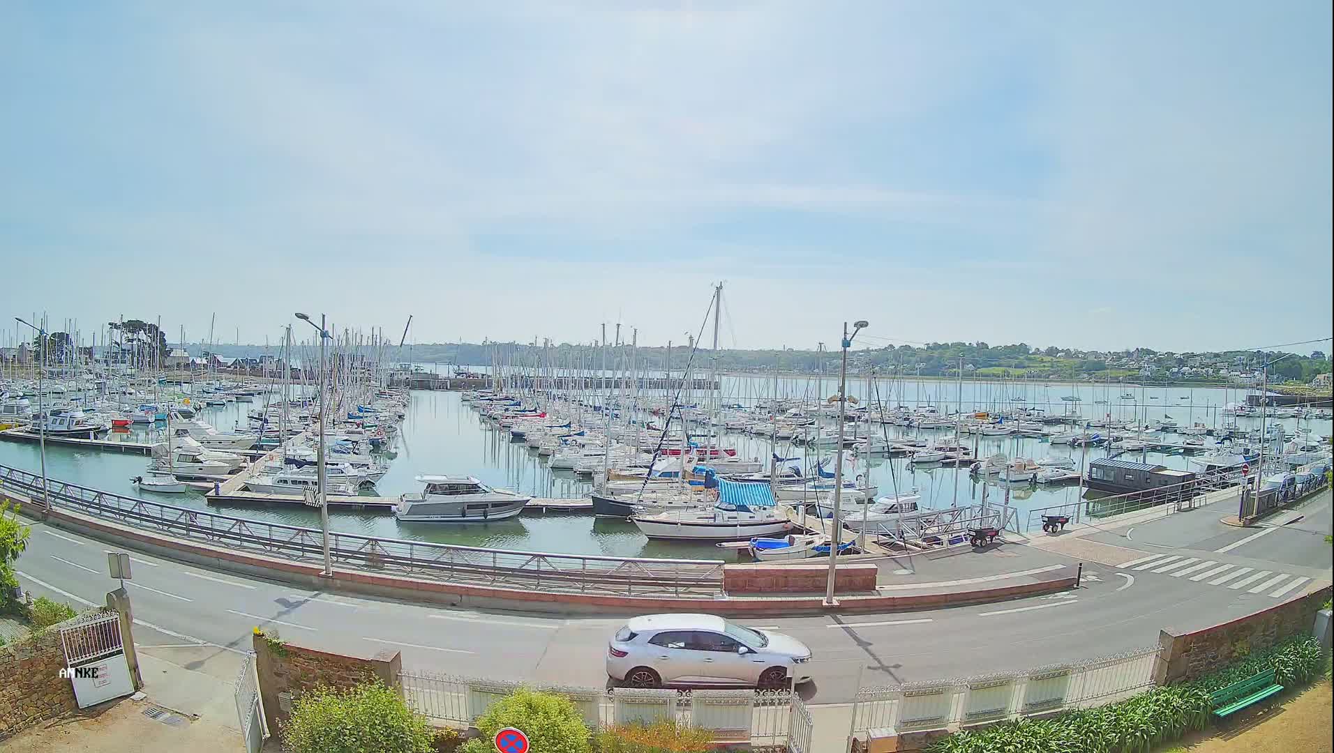 A marina filled with numerous sailboats and motorboats is seen on a sunny day, with a car parked on a nearby road.
