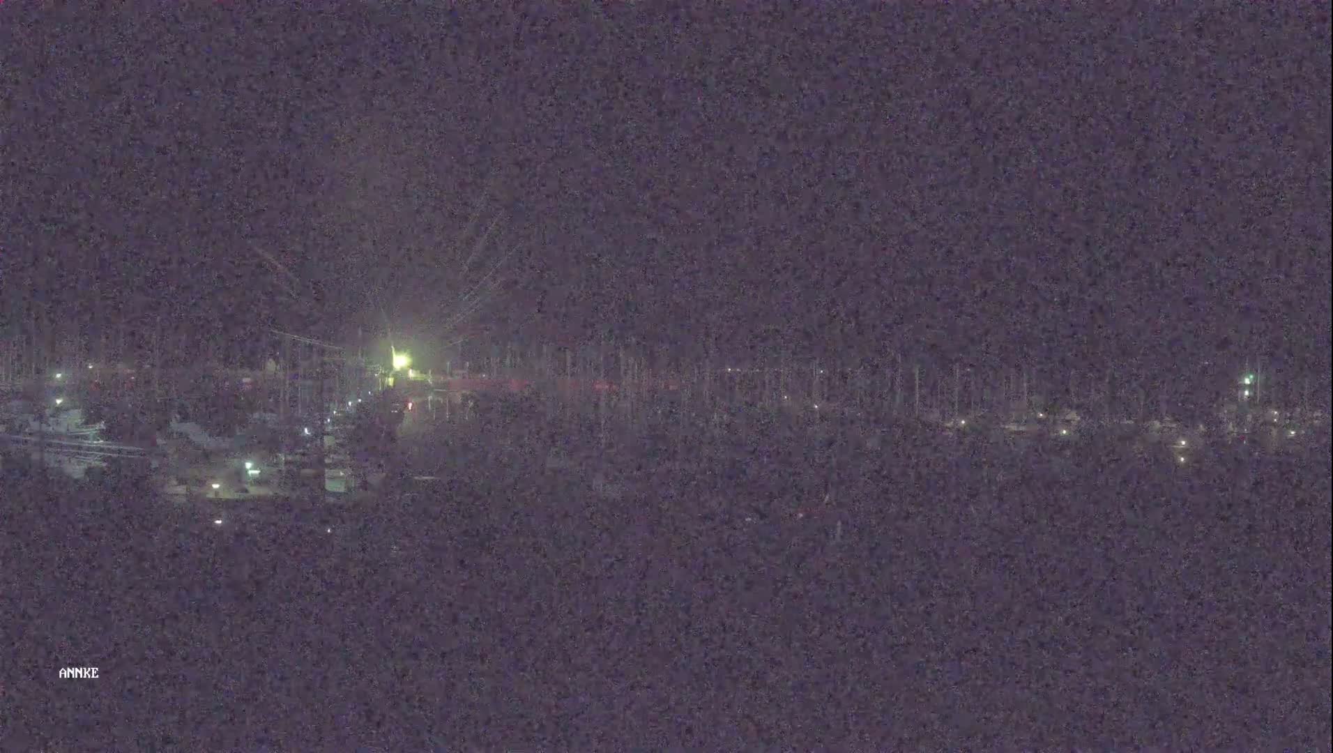 A nighttime long shot shows a marina with many boats at dock, under a dark sky.