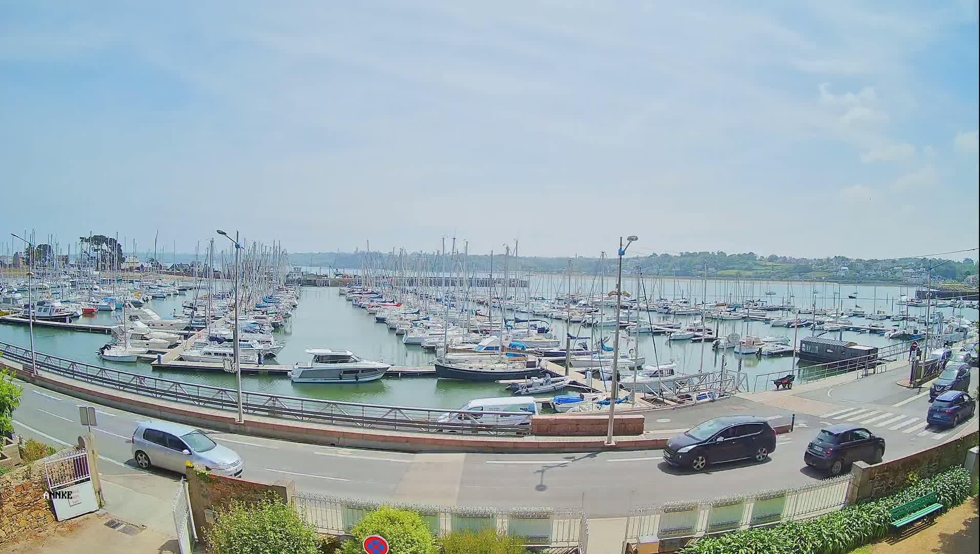 A sunny day at a marina shows numerous sailboats and motorboats docked, with several cars parked along a nearby road.