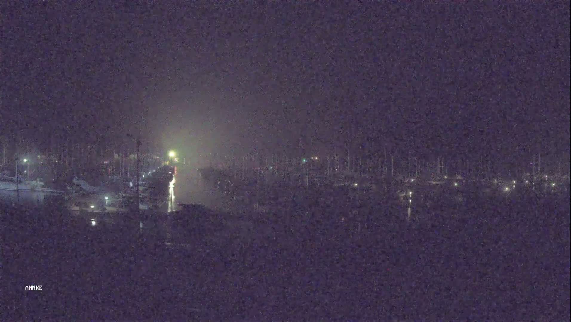 A hazy nighttime scene shows a marina with many boats docked along a waterway.