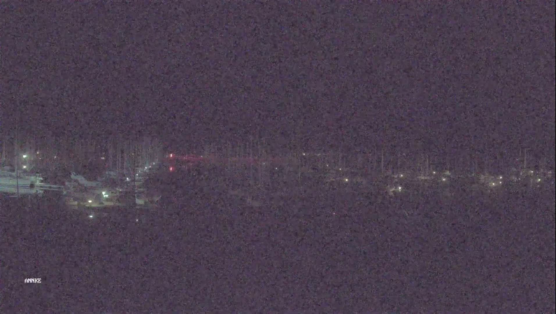 A nighttime long shot shows a marina with many boats docked, dimly lit under a dark sky.