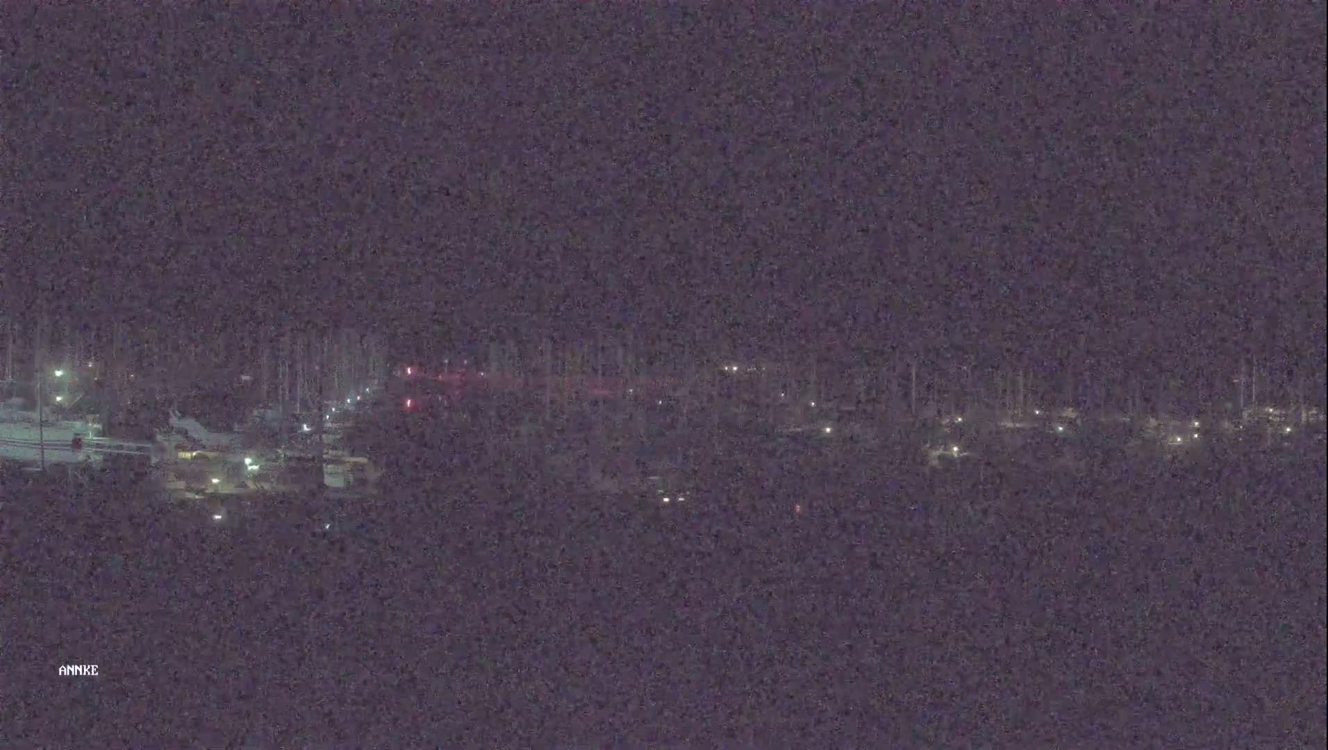 A nighttime, long shot of a marina with boats docked under dim lighting.