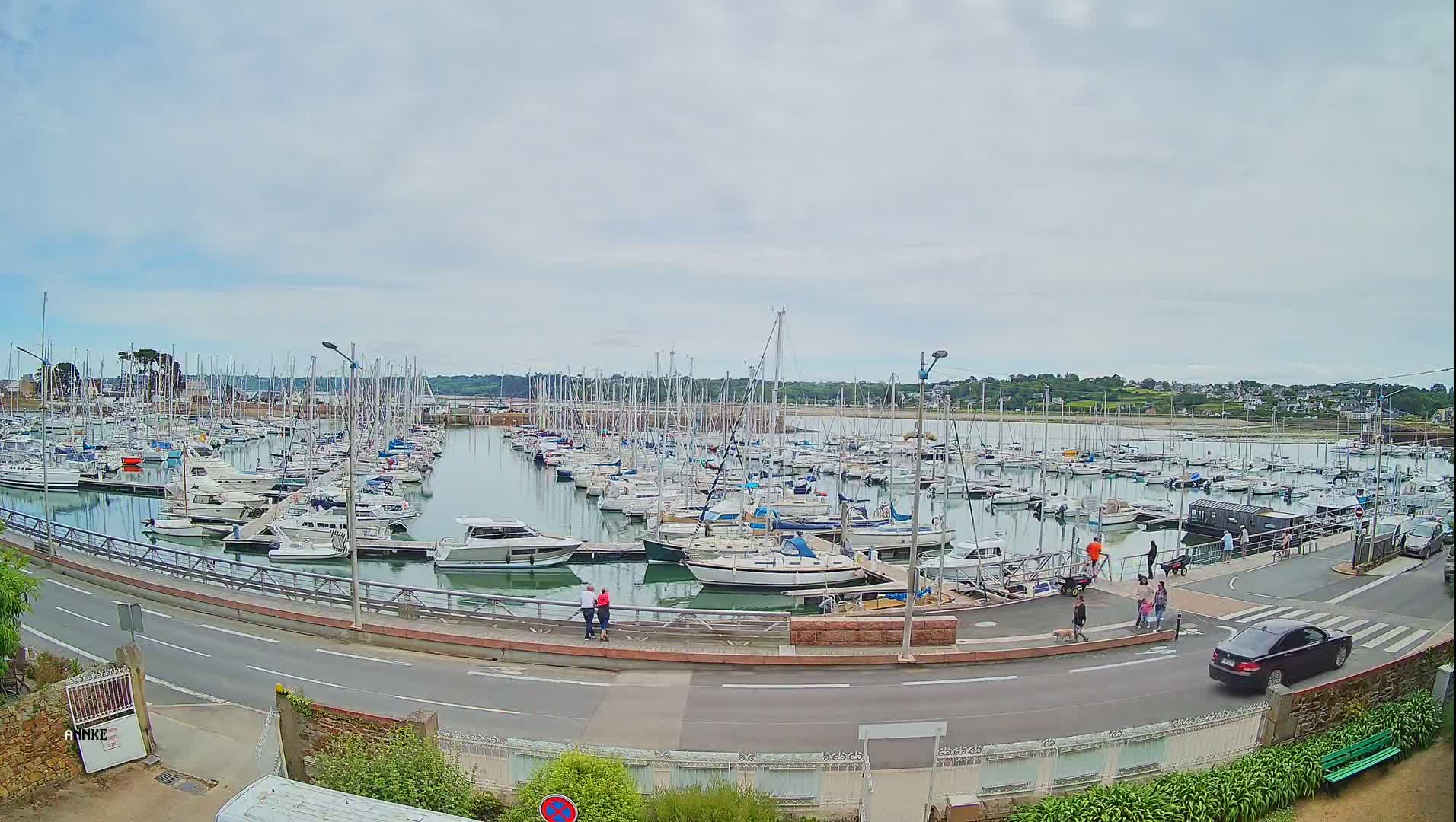 A large marina filled with numerous sailboats and motorboats is viewed from a slightly elevated position on an overcast day.