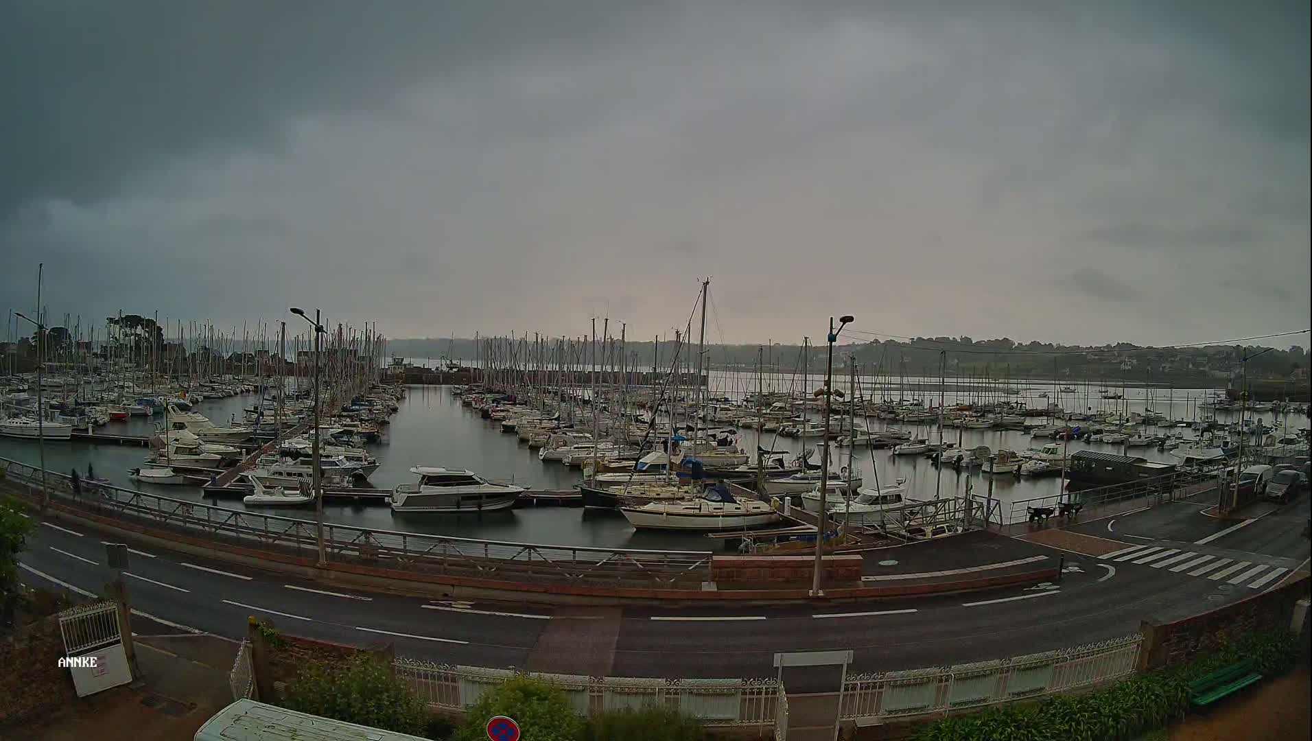 A marina filled with numerous boats is shown under an overcast sky.
