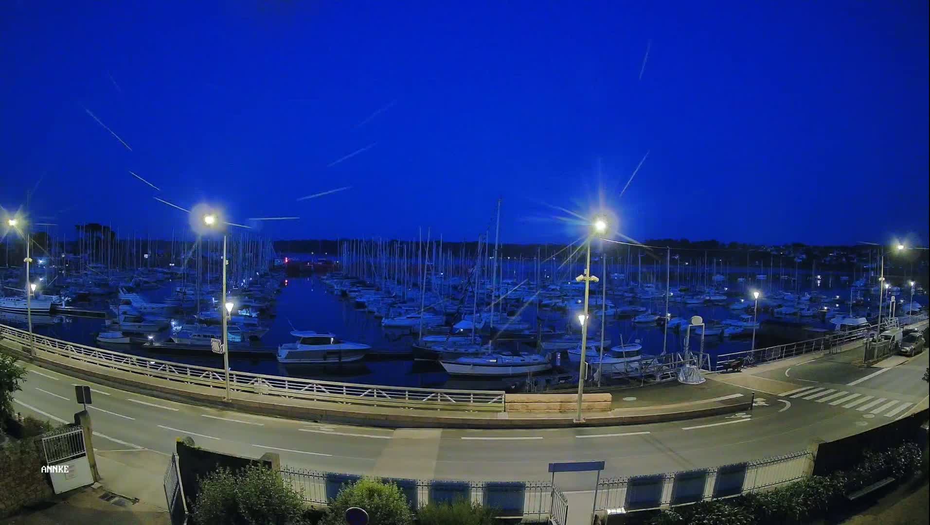 Under a dark blue, twilight sky, numerous boats are moored in a marina, illuminated by streetlights along a paved road.