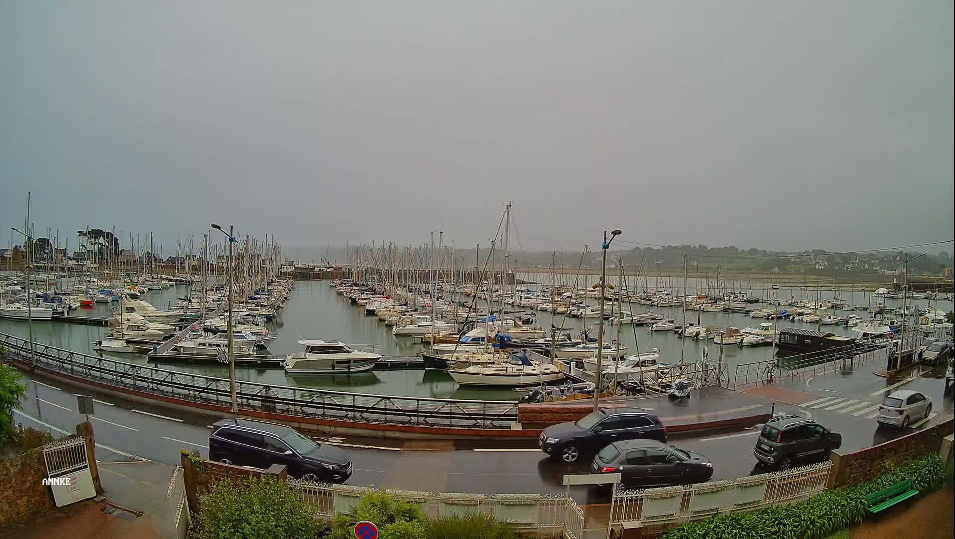 A marina filled with numerous sailboats and motorboats is shown on an overcast day, with several cars parked along a wet roadway next to it.