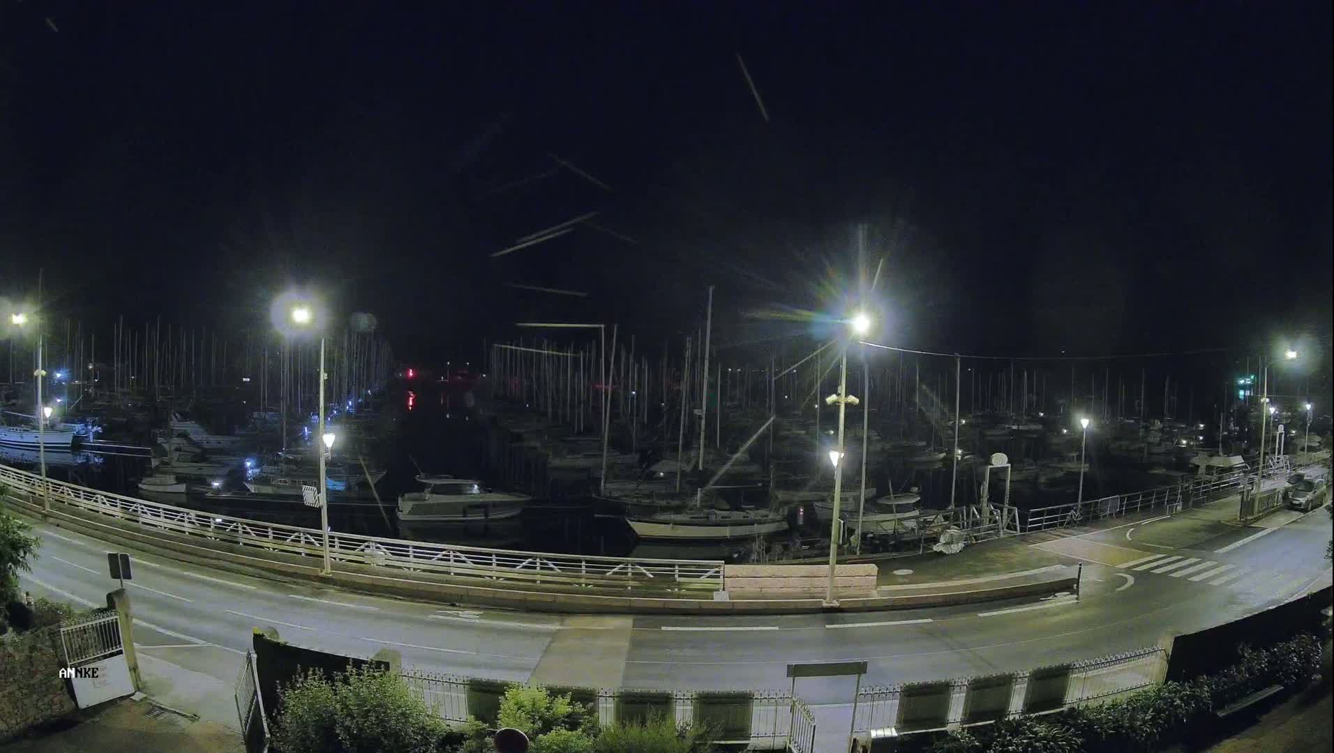 A nighttime view of a marina filled with numerous boats under a dark, possibly slightly hazy sky.
