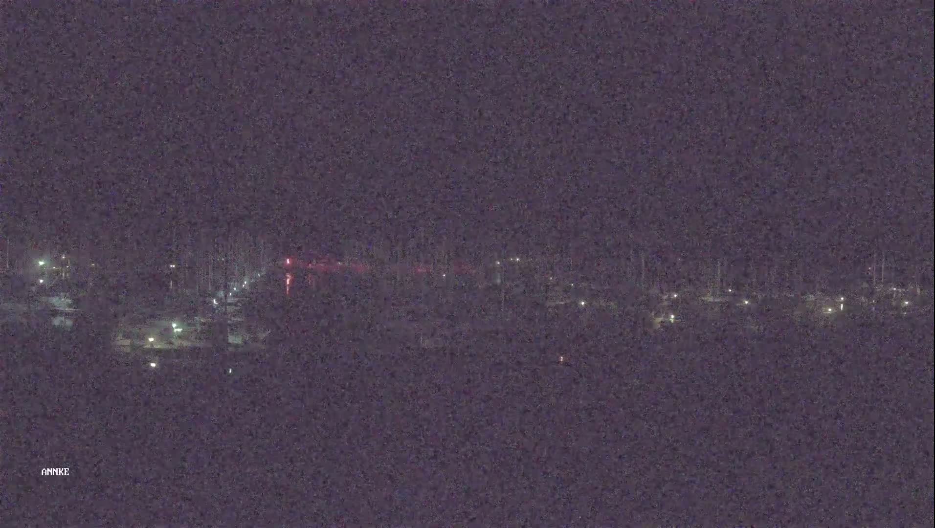 A nighttime long shot of a marina with dimly lit boats and surrounding land under a dark sky.