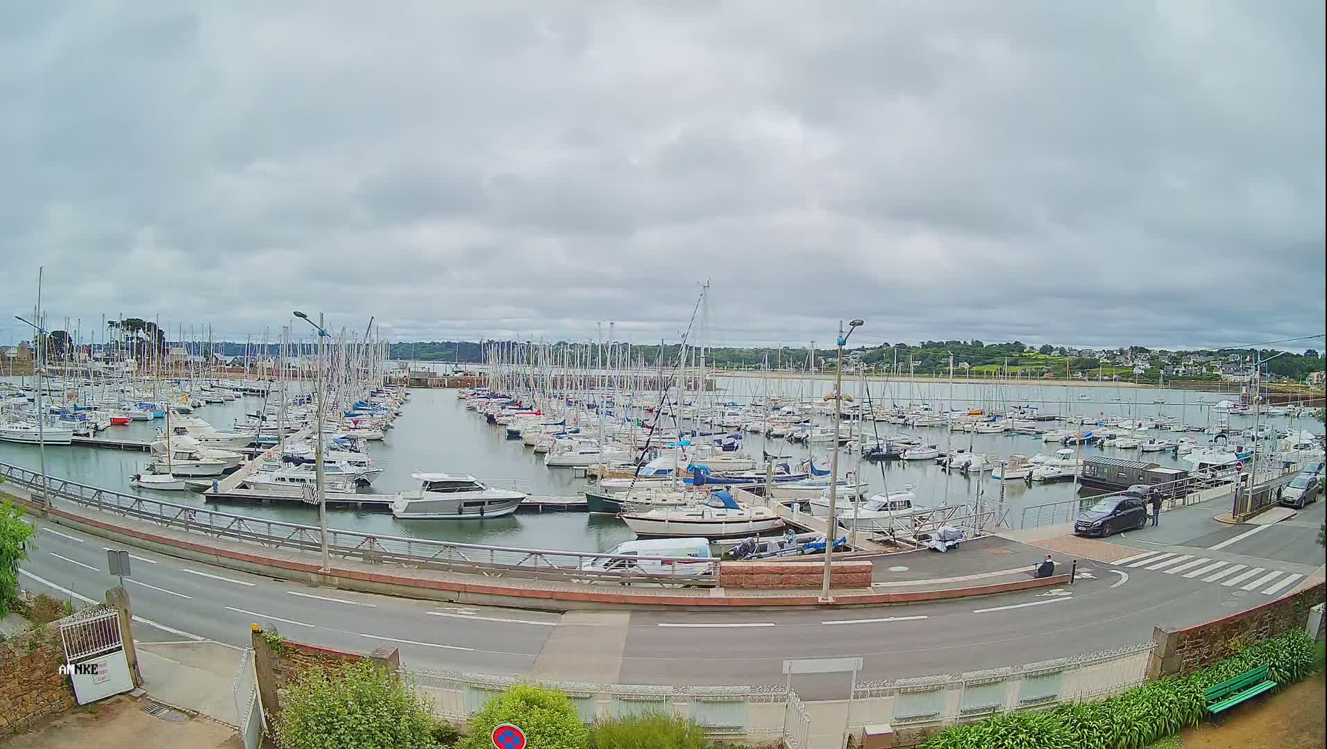 A marina filled with numerous sailboats and motorboats is situated next to a road under an overcast sky.