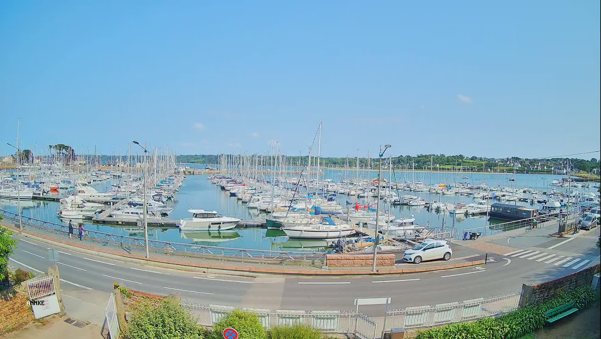 A large marina filled with numerous sailboats and motorboats is seen on a sunny day, with a road and a few cars visible in the foreground.