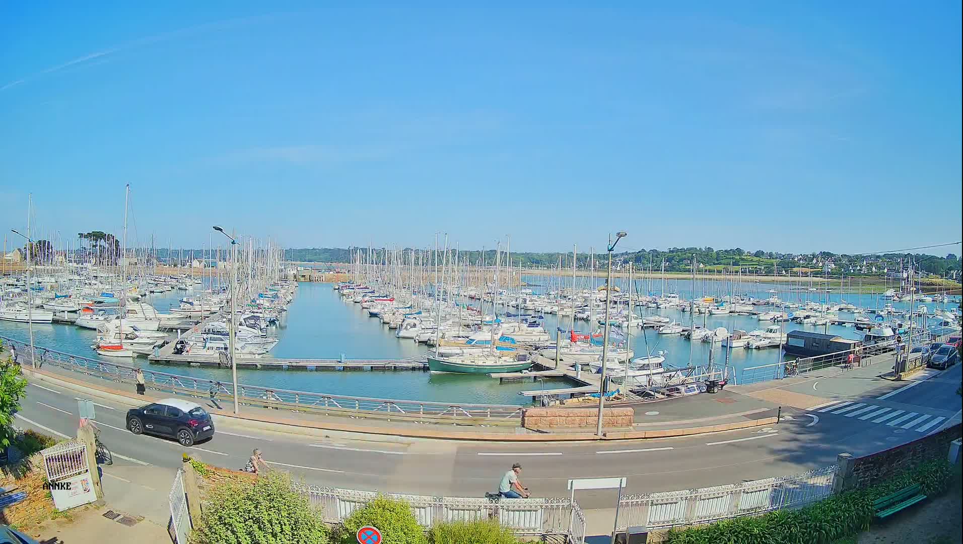A marina filled with numerous sailboats and motorboats is situated next to a road with a cyclist and a car, all under a clear blue sky.