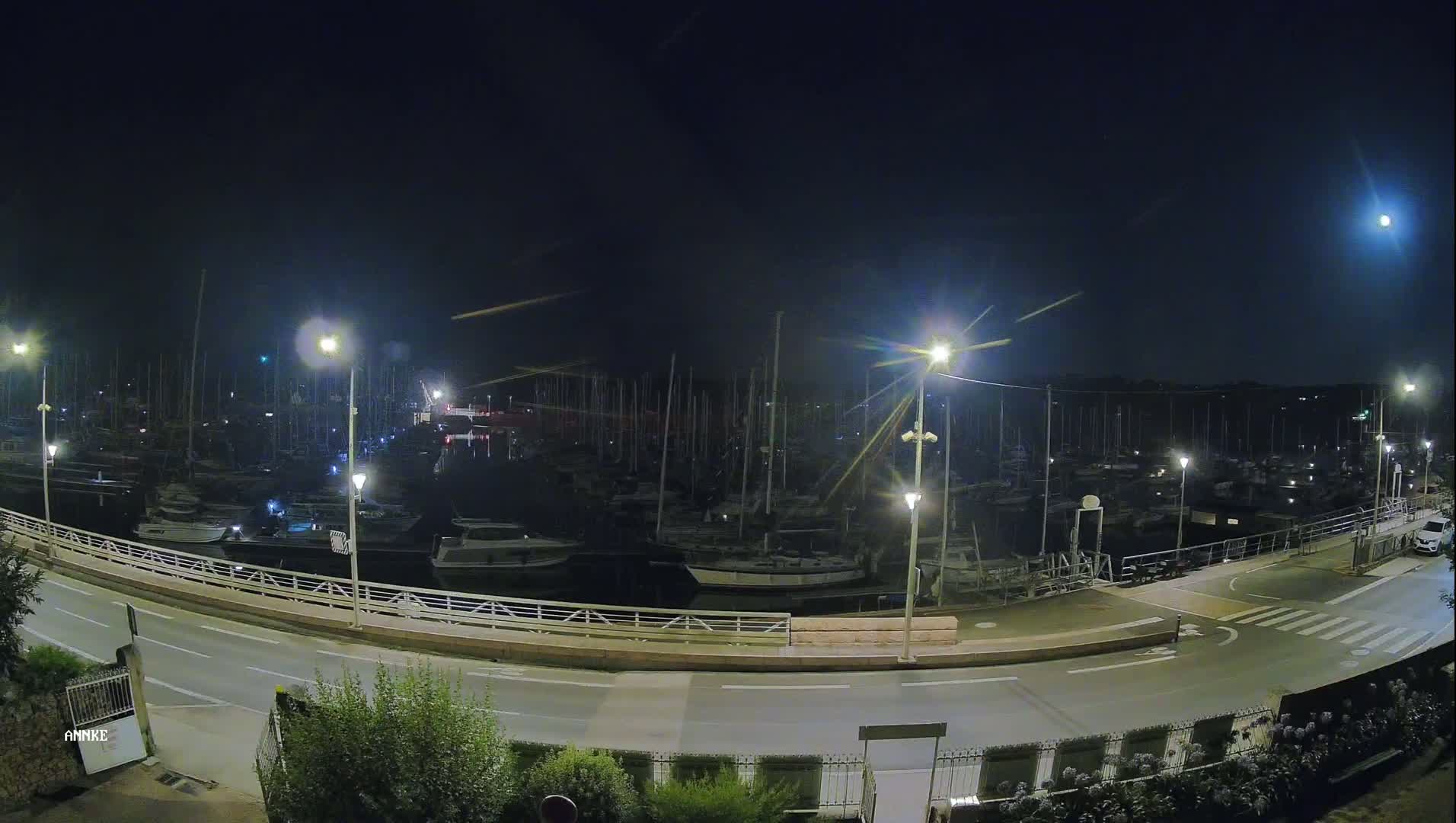 A nighttime view of a marina filled with numerous boats, illuminated by streetlights, under a clear, moonlit sky.